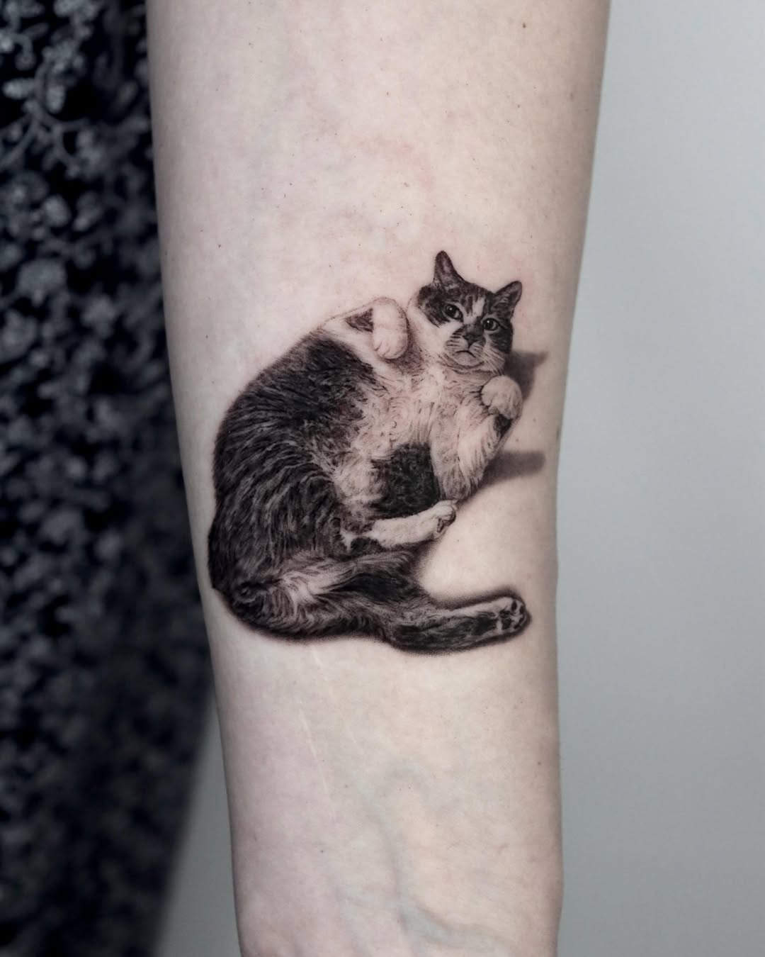 Cat laying on its back realism tattoo on the forearm by LA Tattoo Yeono