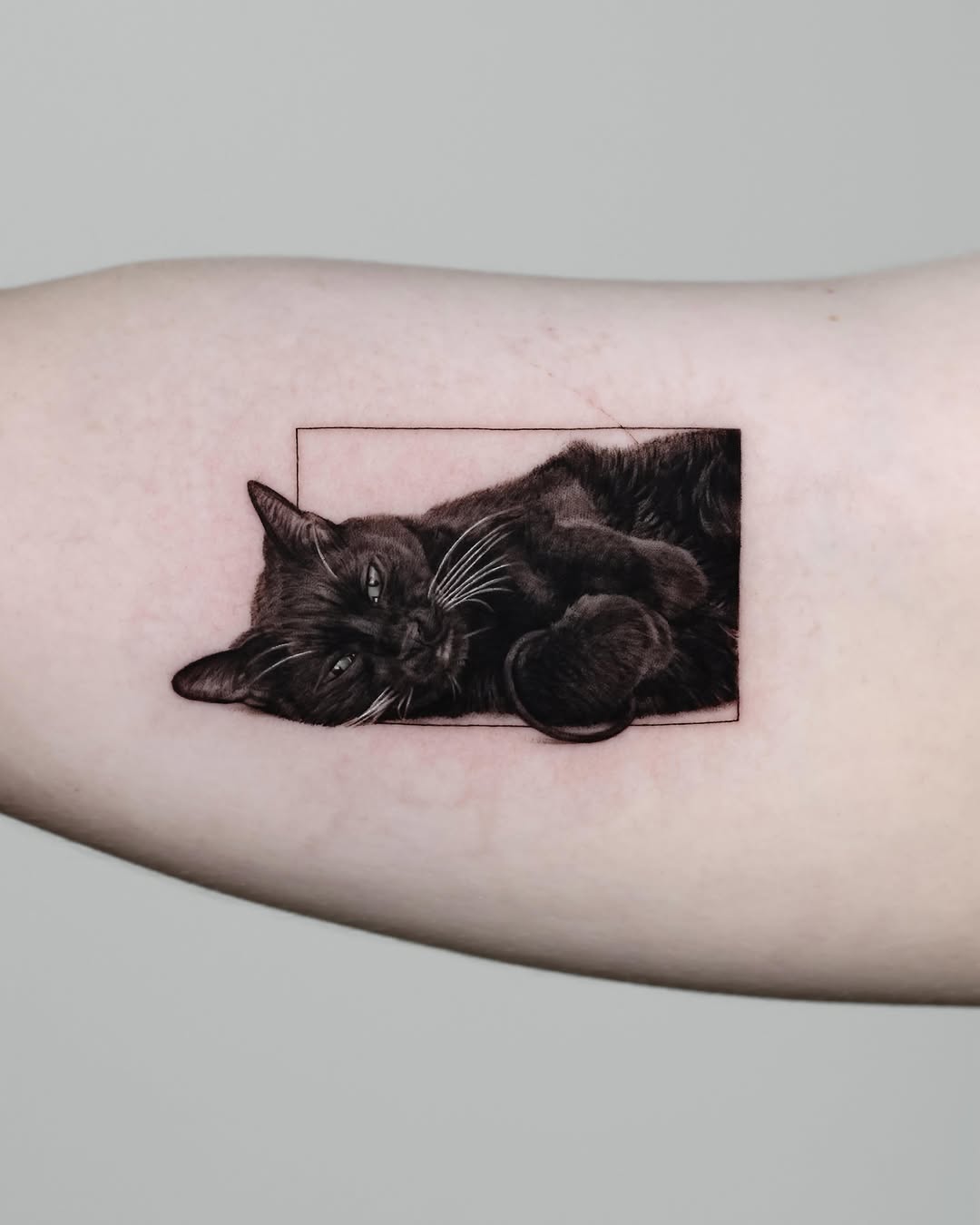 Black cat in a frame realism tattoo on the forearm by LA Tattoo Yeono
