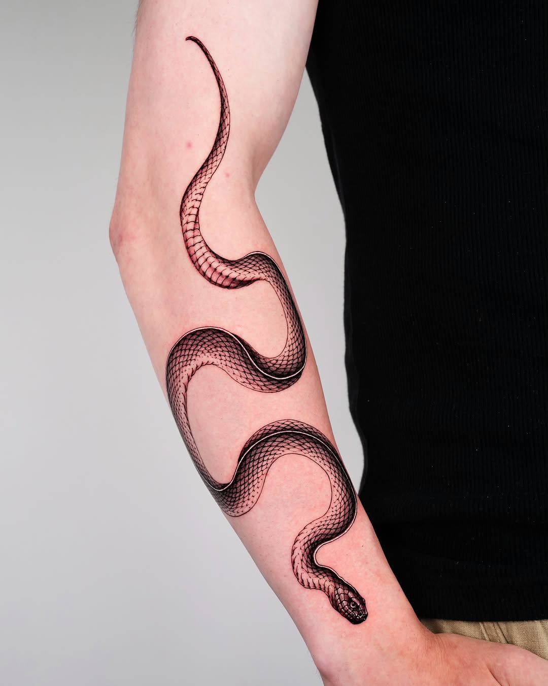 Snake American traditional tattoo on the forearm by Intat