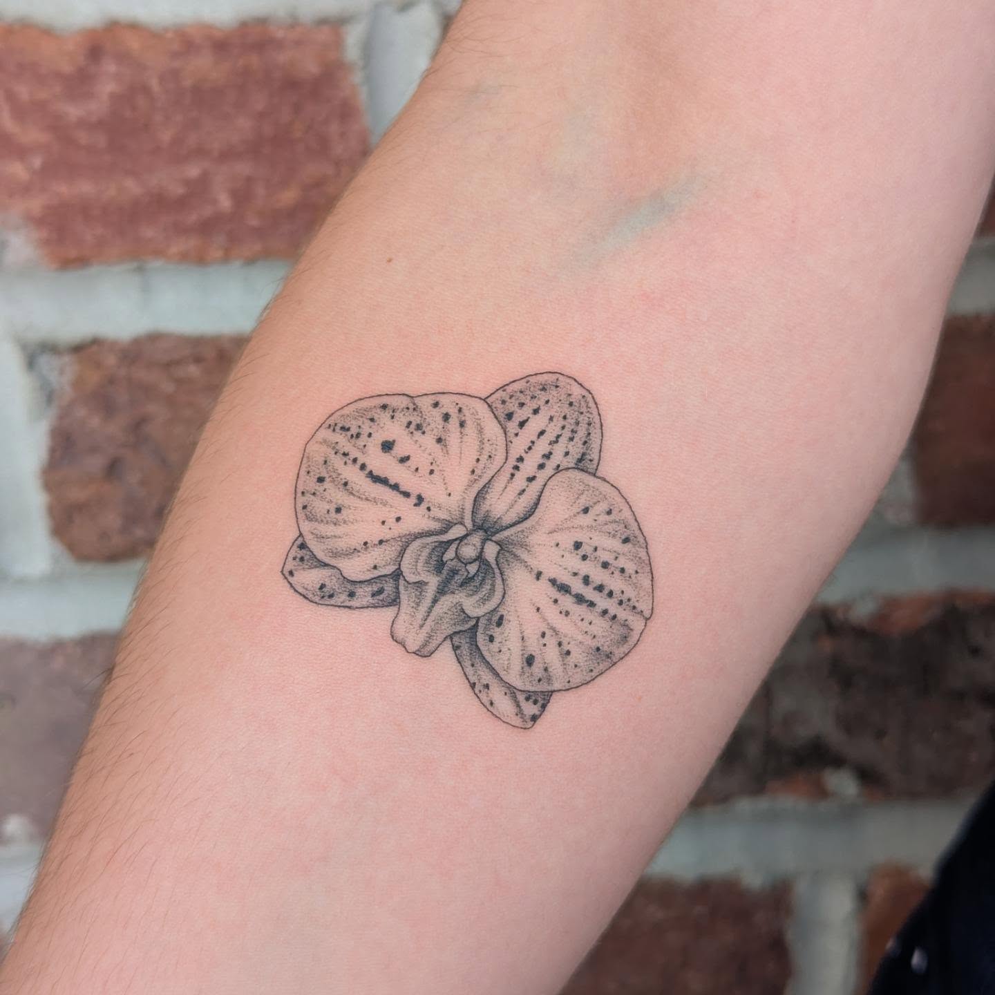 Tattoo by @colormemegantattoos โ dotwork