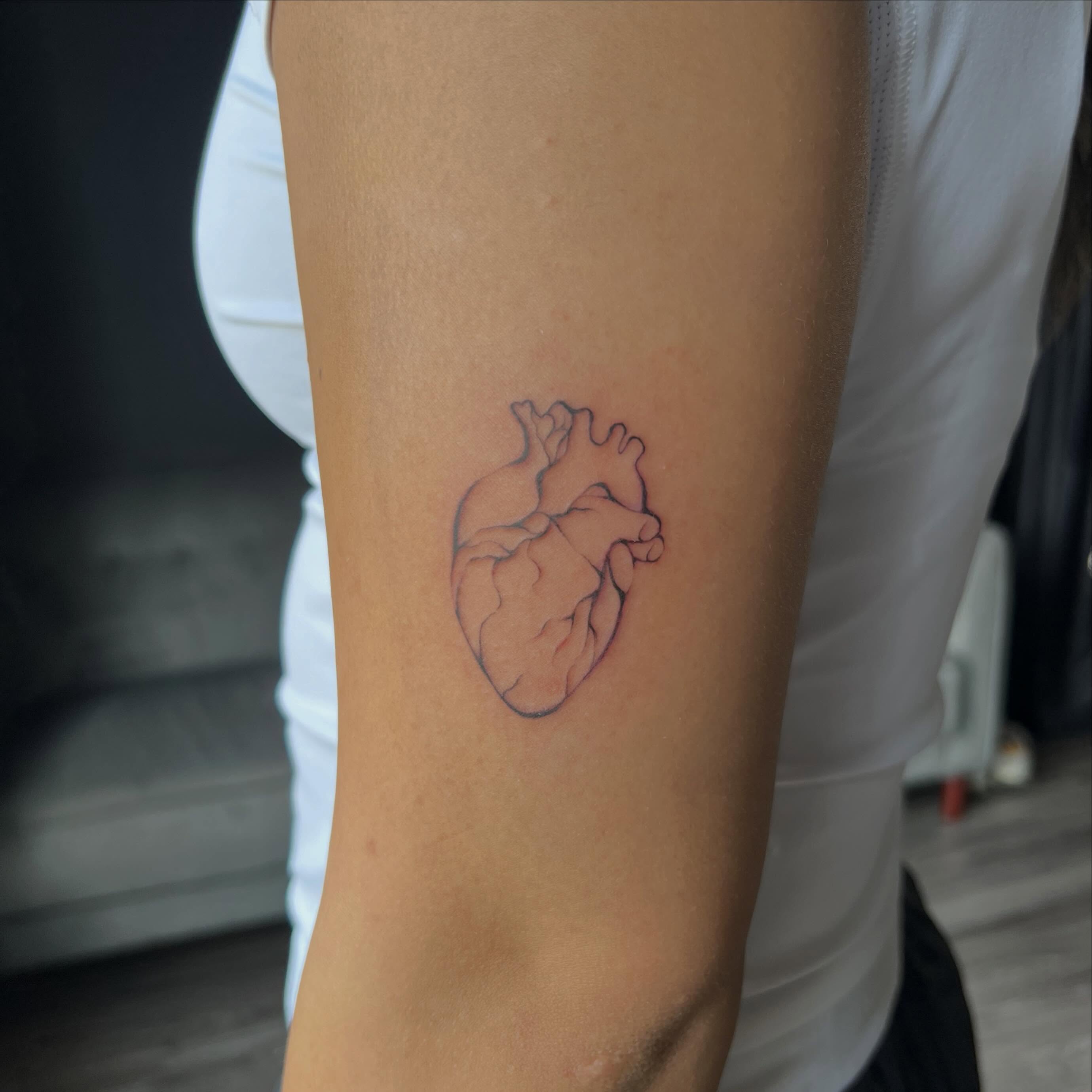 Anatomical heart realism tattoo on the forearm by Haiiitattoo