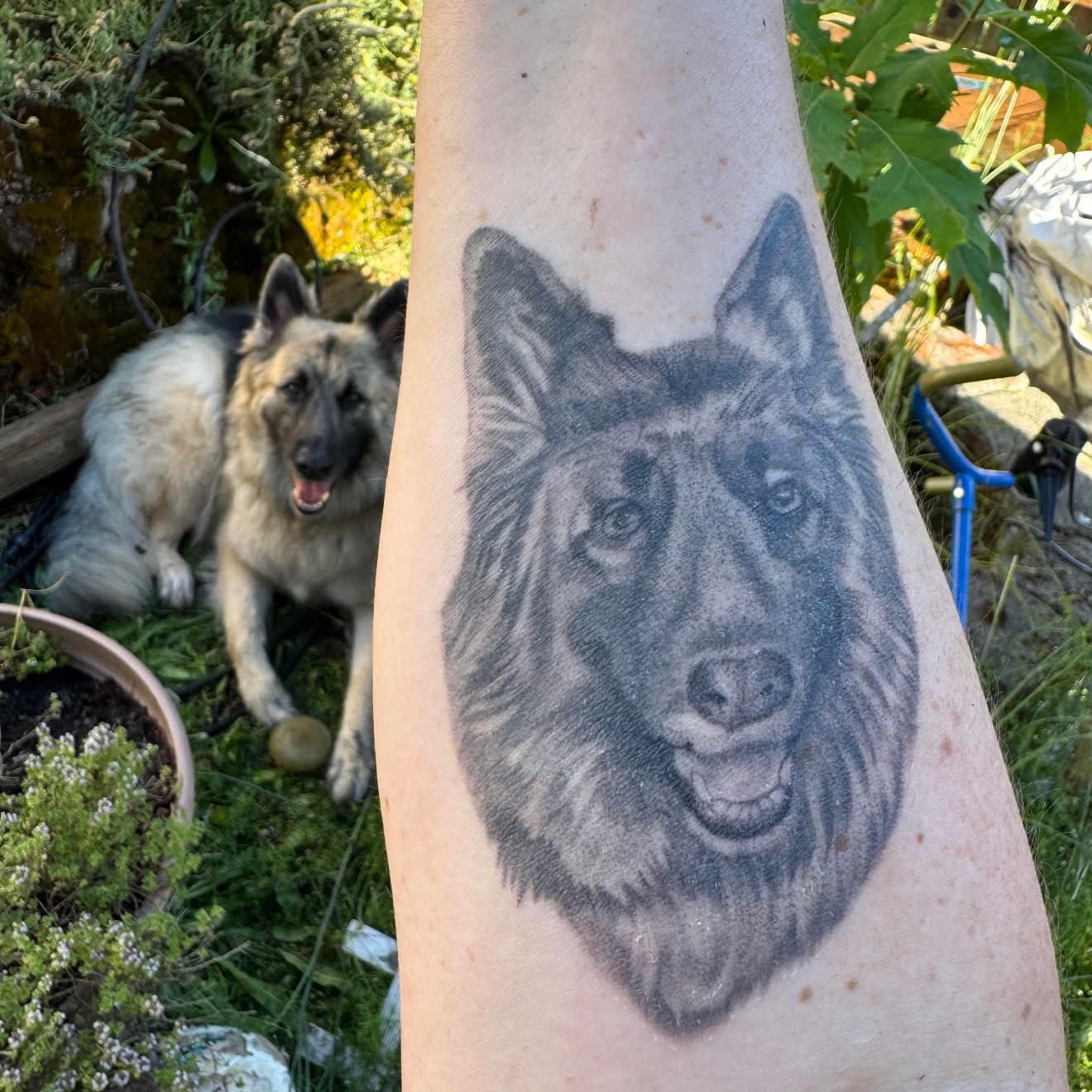 Tattoo by @tattoosbyps — realism