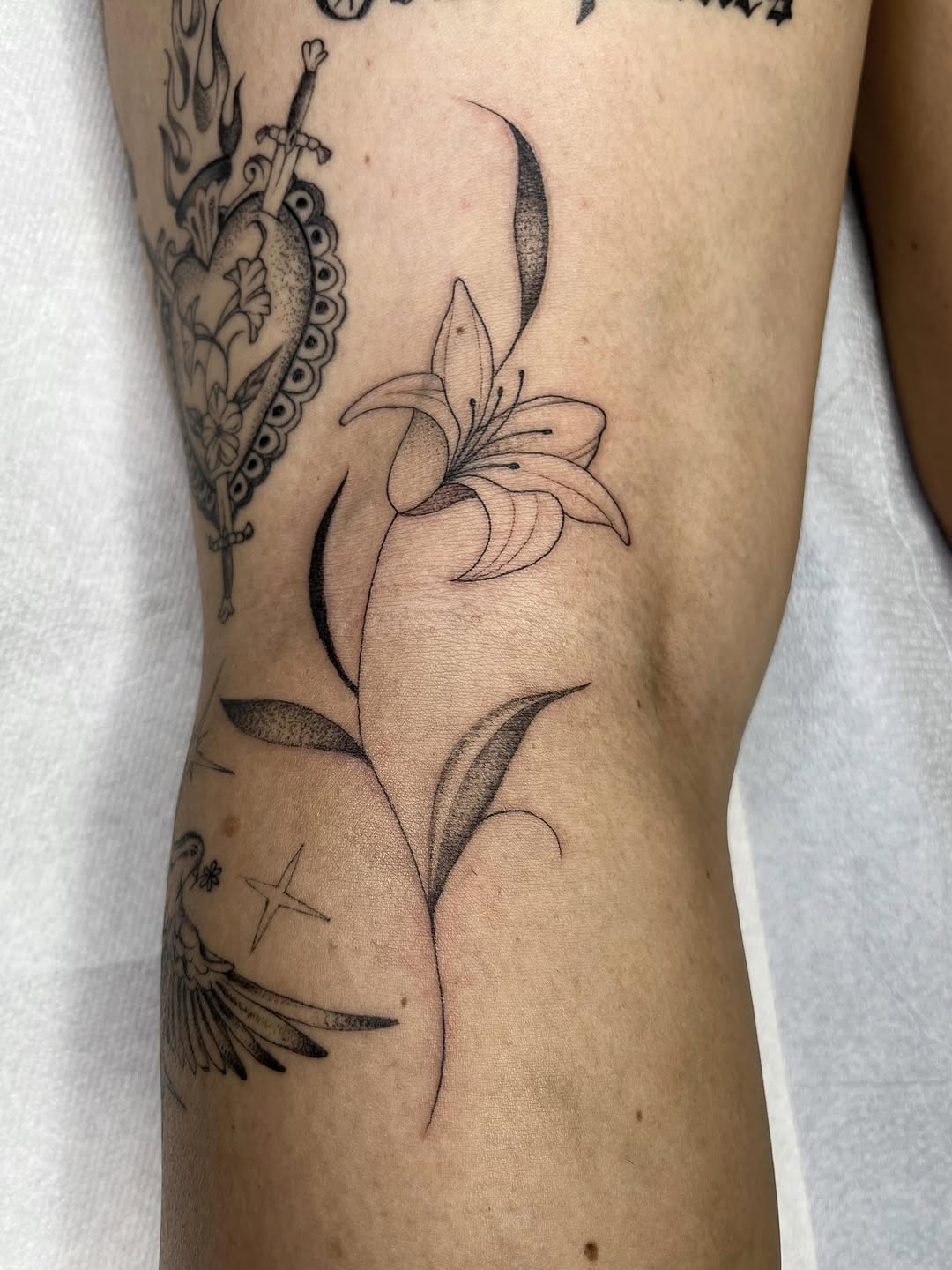 Lily flower fine line tattoo on the forearm by Sara Atamian, San Diego, California