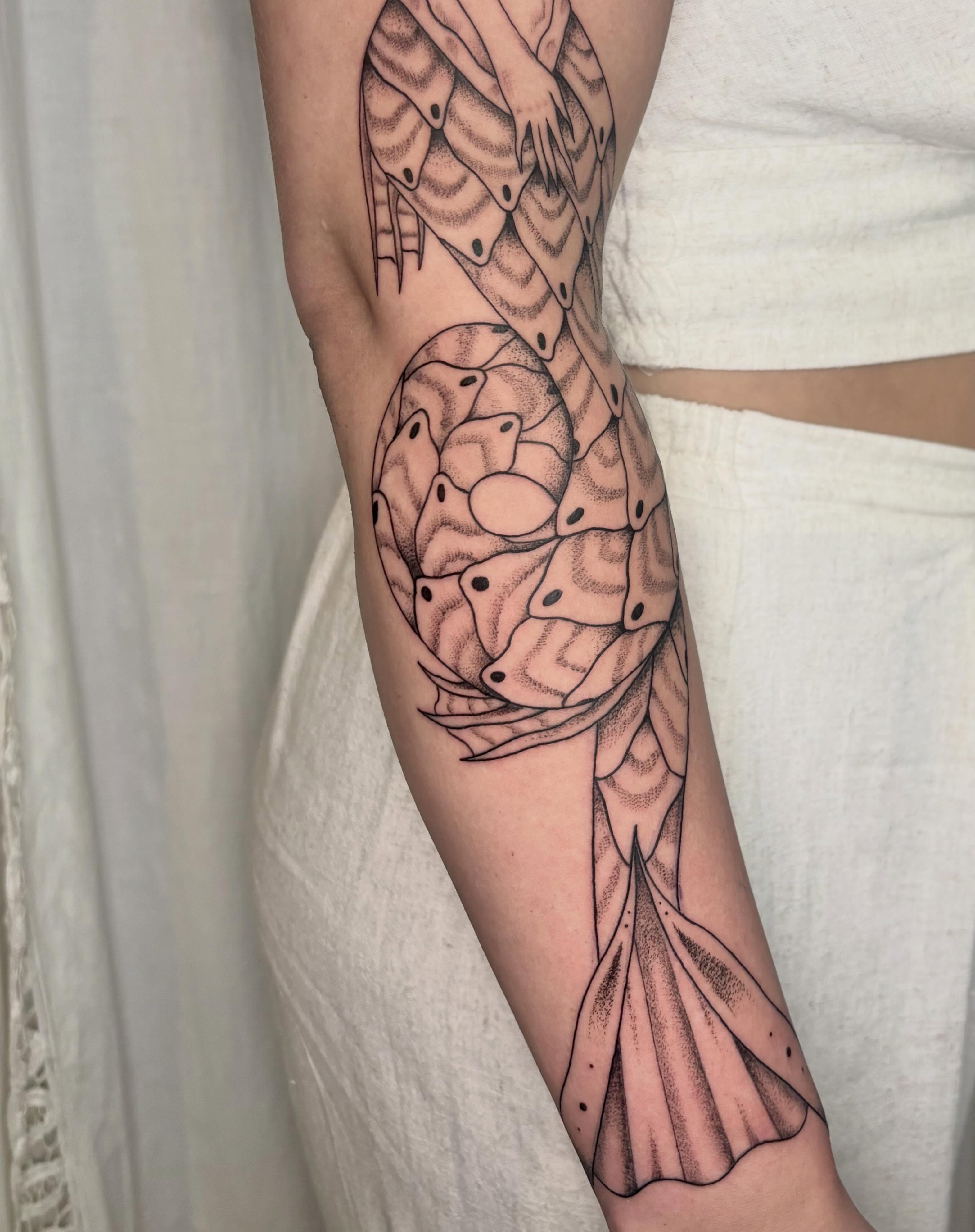 Tattoo by @threethornstattoo — dotwork, geometric