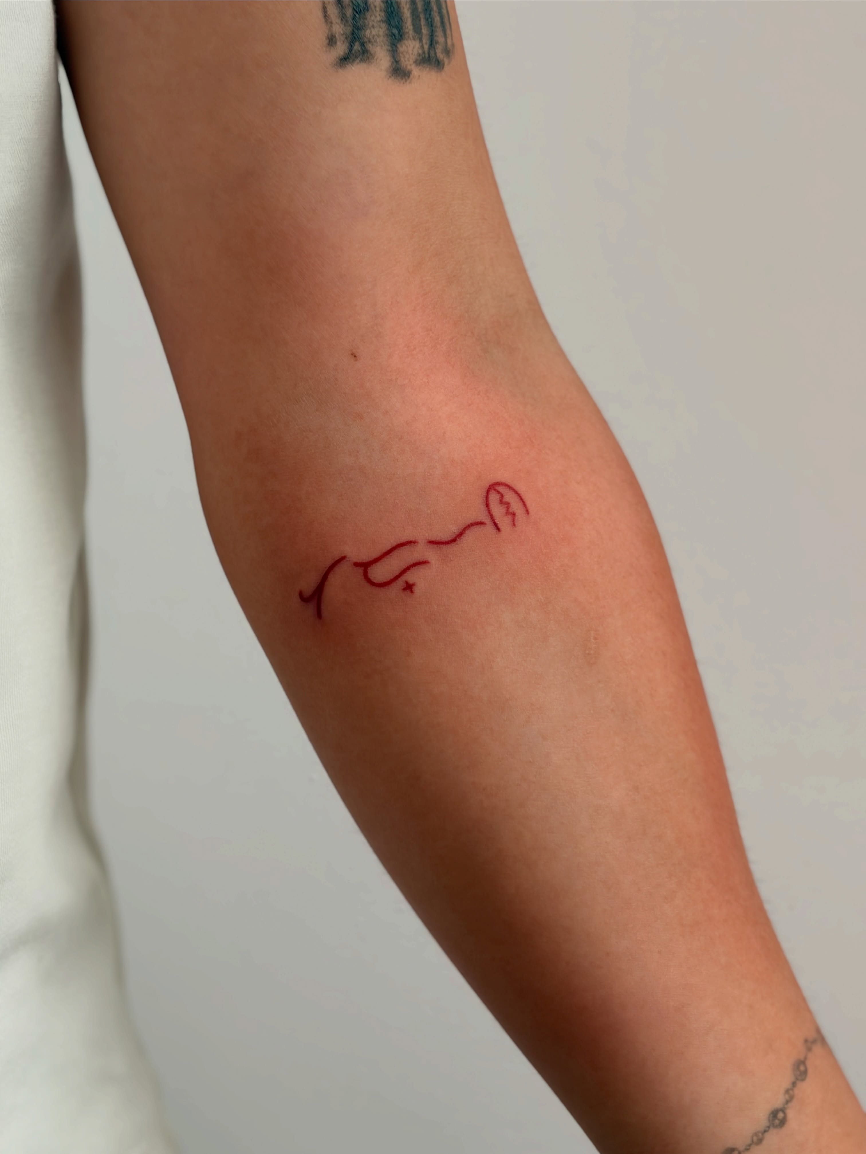Tattoo by @cam.tats โ fine_line
