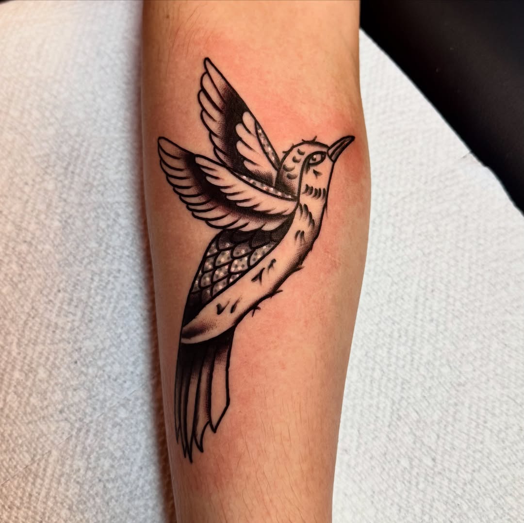 Bird black and grey tattoo on the forearm by Brandon