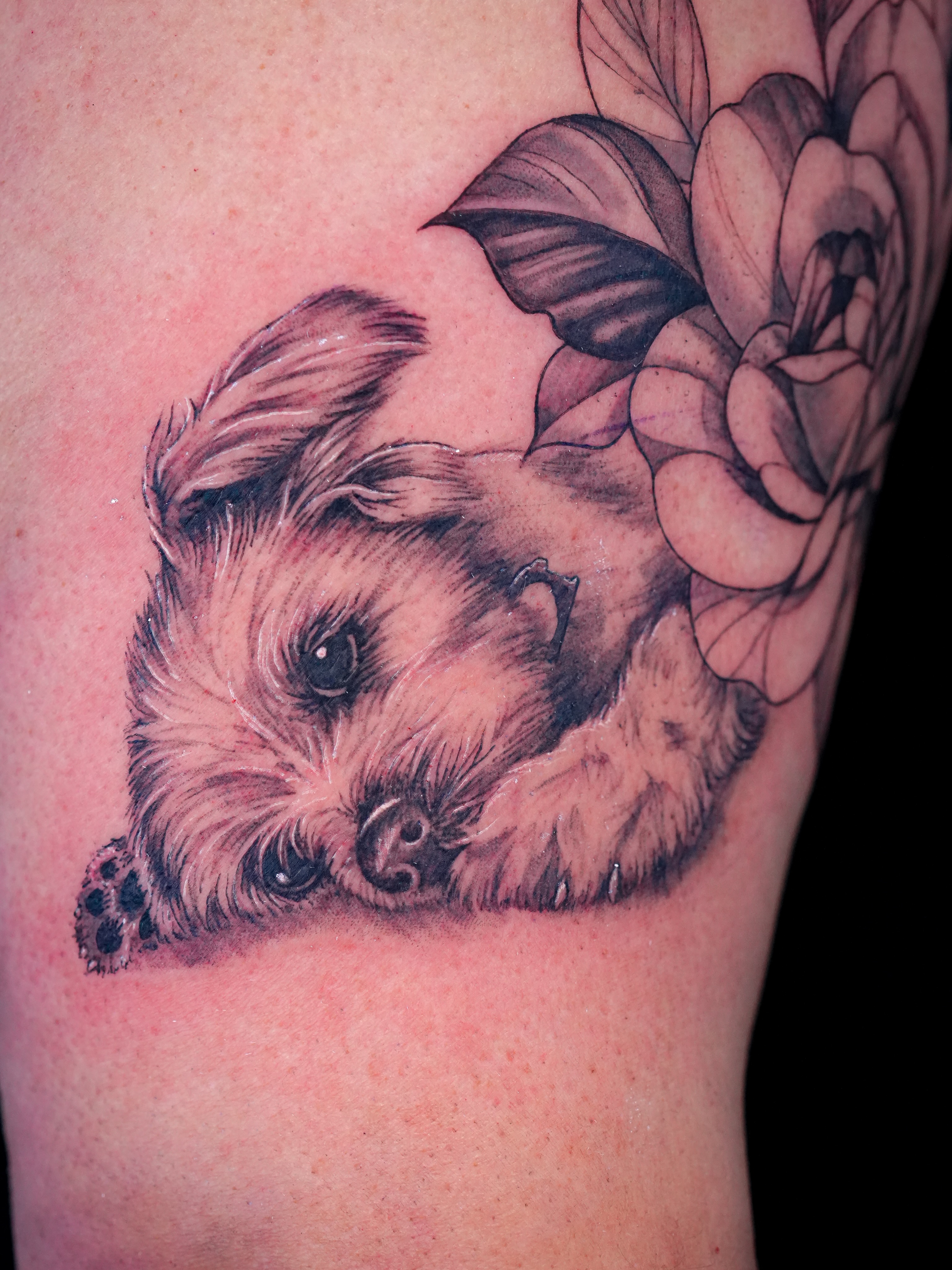 Dog and flower realism tattoo on the forearm by Simon Pouliot