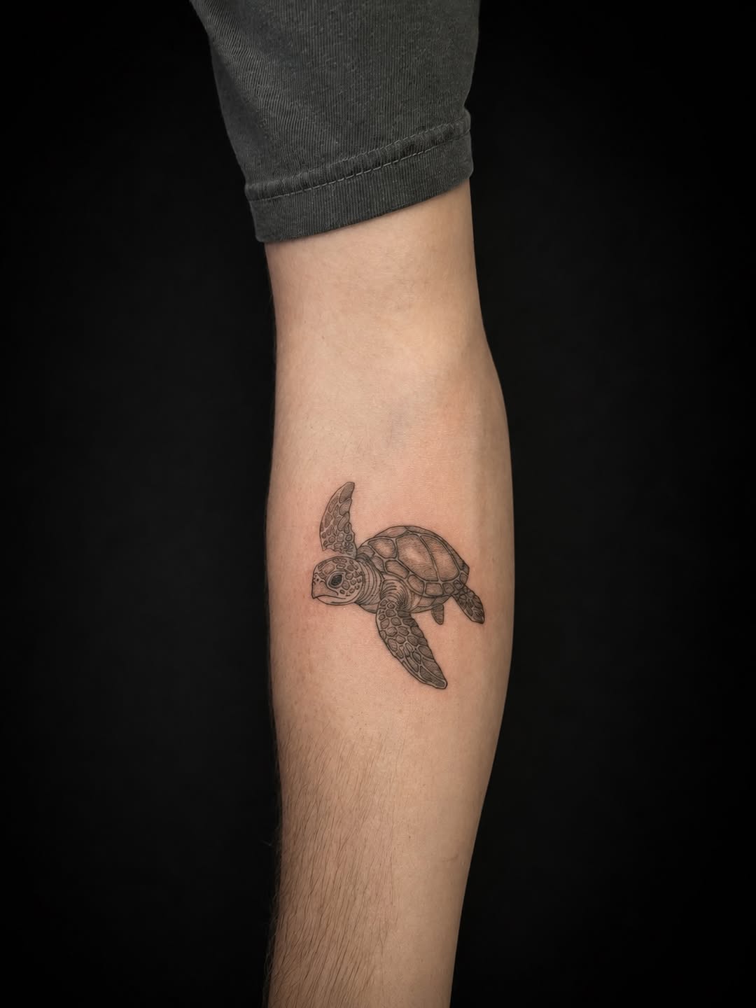 Sea turtle fine line tattoo on the forearm by 𝚃𝙰𝚃𝚃𝙾𝙾 𝙰𝚁𝚃𝙸𝚂𝚃, Charlotte, North Carolina