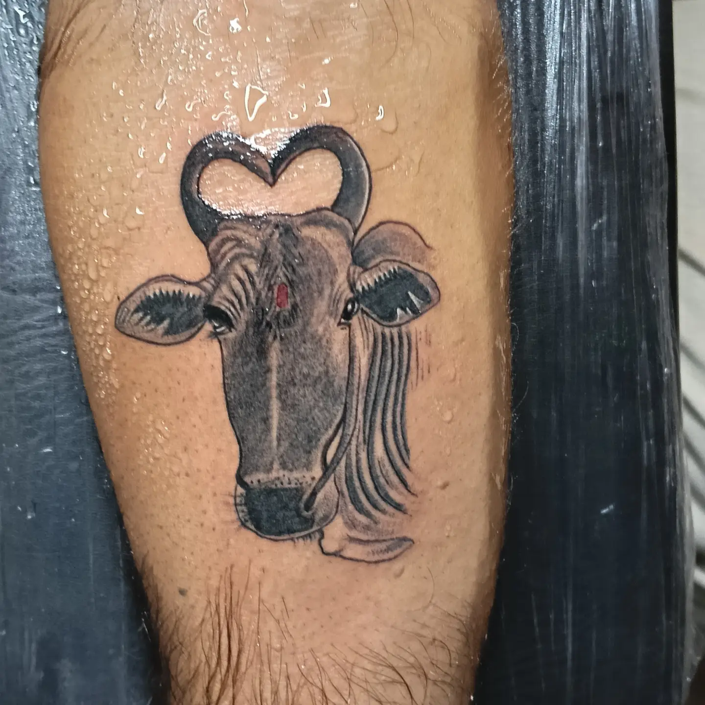 Bull head black and grey tattoo on the forearm by VR tattoo Studio