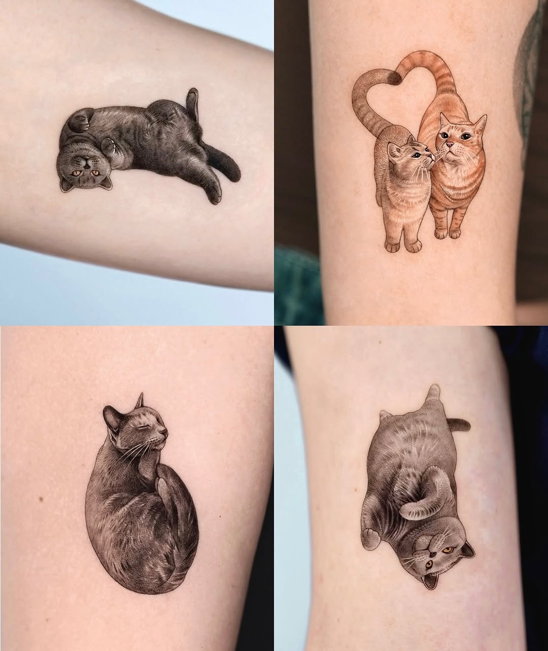 Tattoo by @zeal_tattoo — realism, black_and_grey