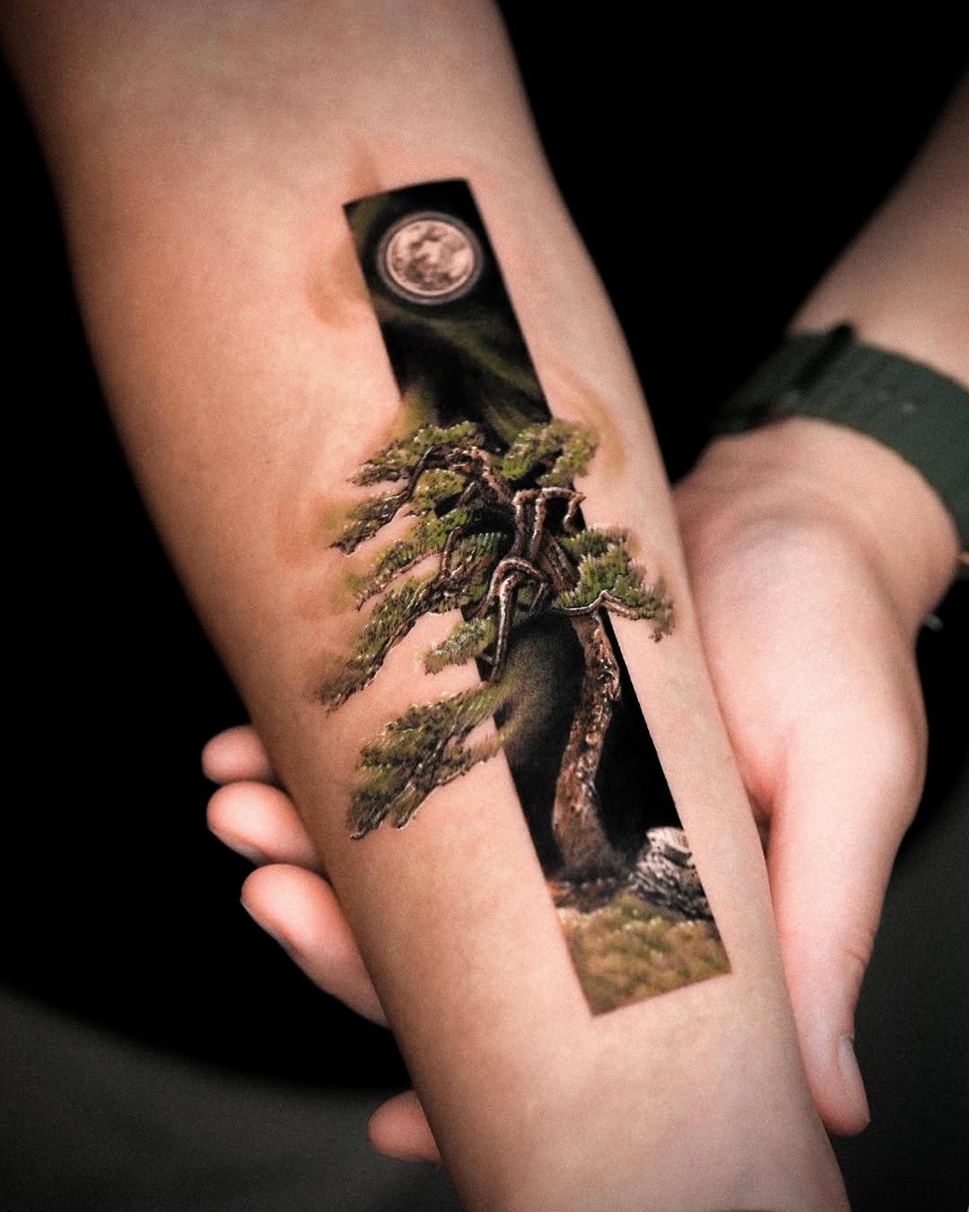 Bonsai tree with moon sketch tattoo on the forearm by Rizn