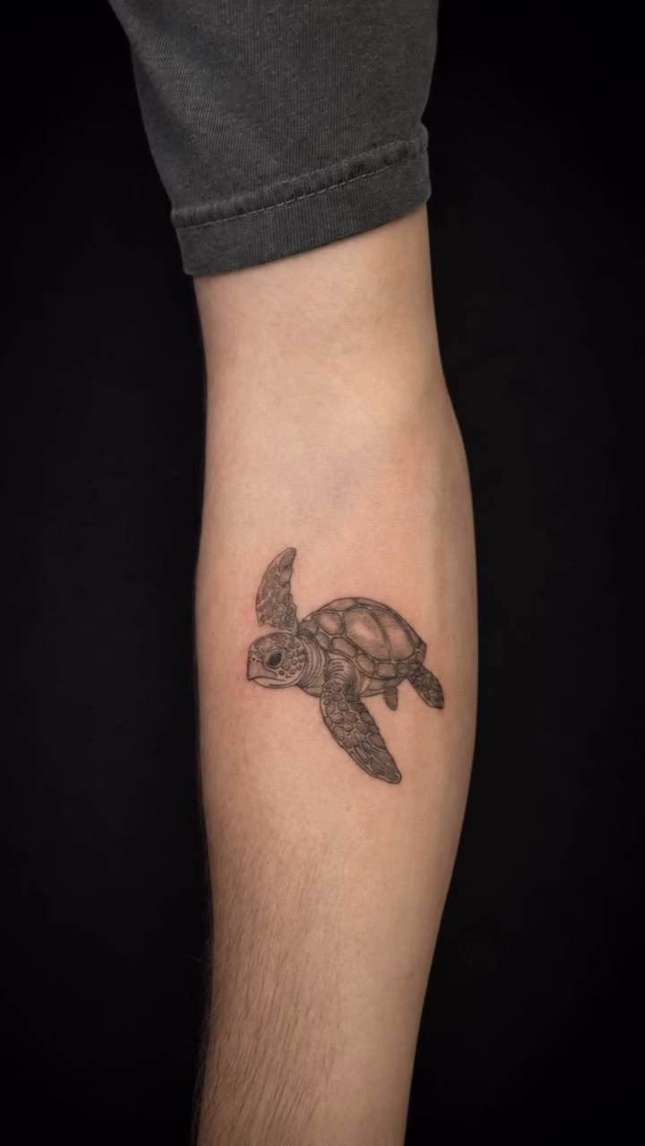 Sea turtle tattoo fine line tattoo on the forearm by 𝚃𝙰𝚃𝚃𝙾𝙾 𝙰𝚁𝚃𝙸𝚂𝚃, Charlotte, North Carolina