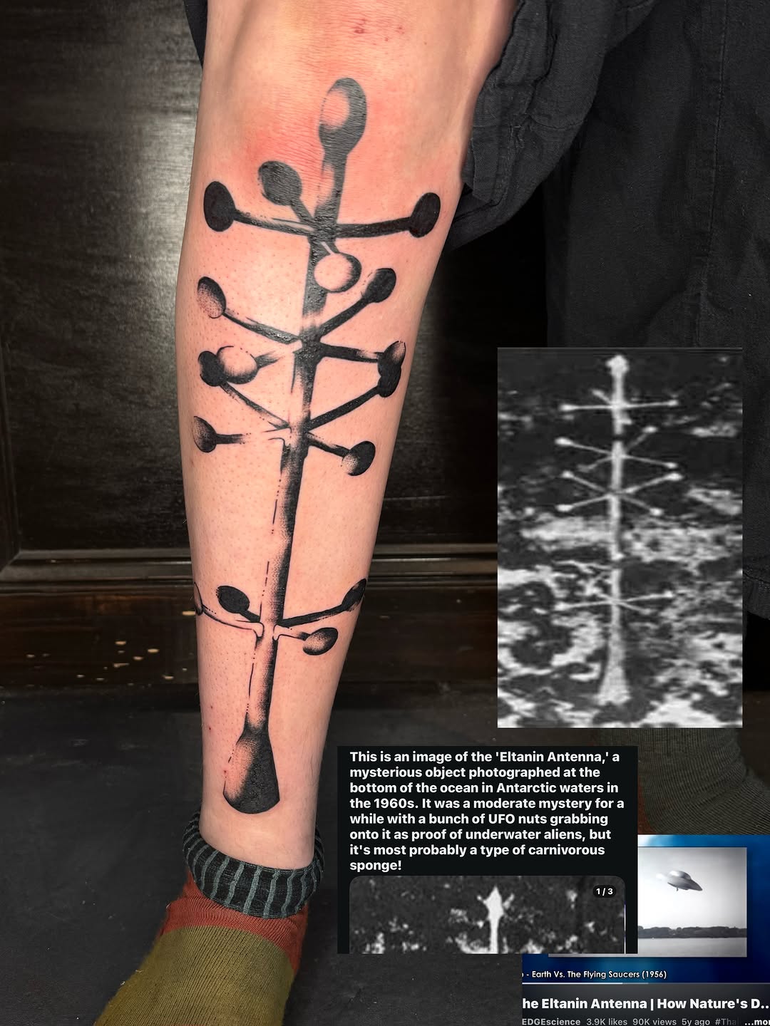 Tattoo by @mxminks โ black_and_grey, illustrative