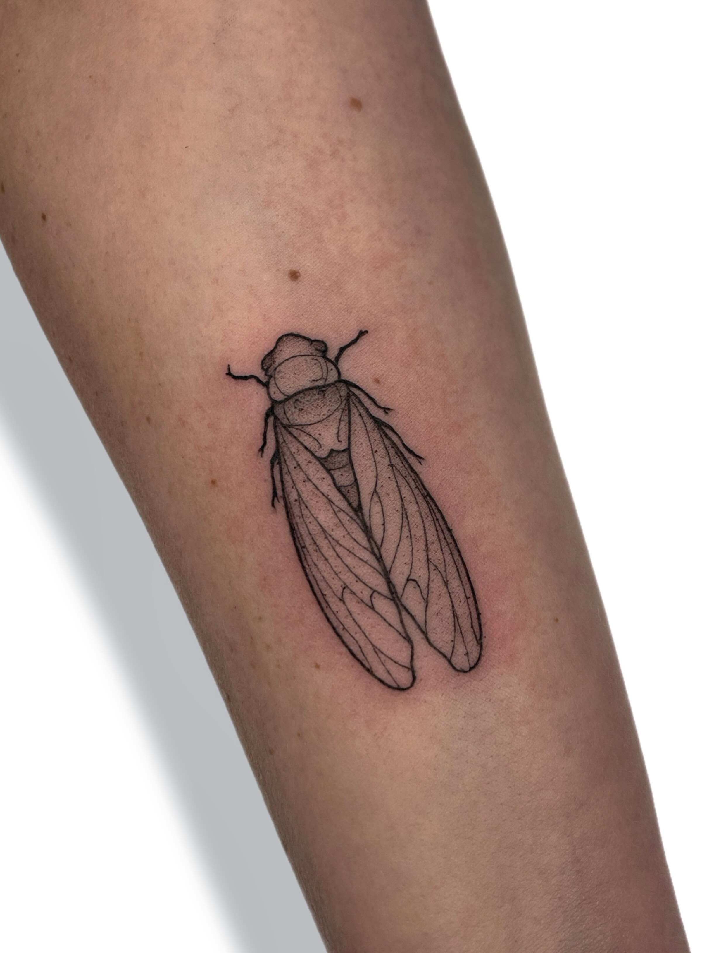 Cicada minimalist tattoo on the forearm by Jules ๐โโฌ, Chicago, Illinois