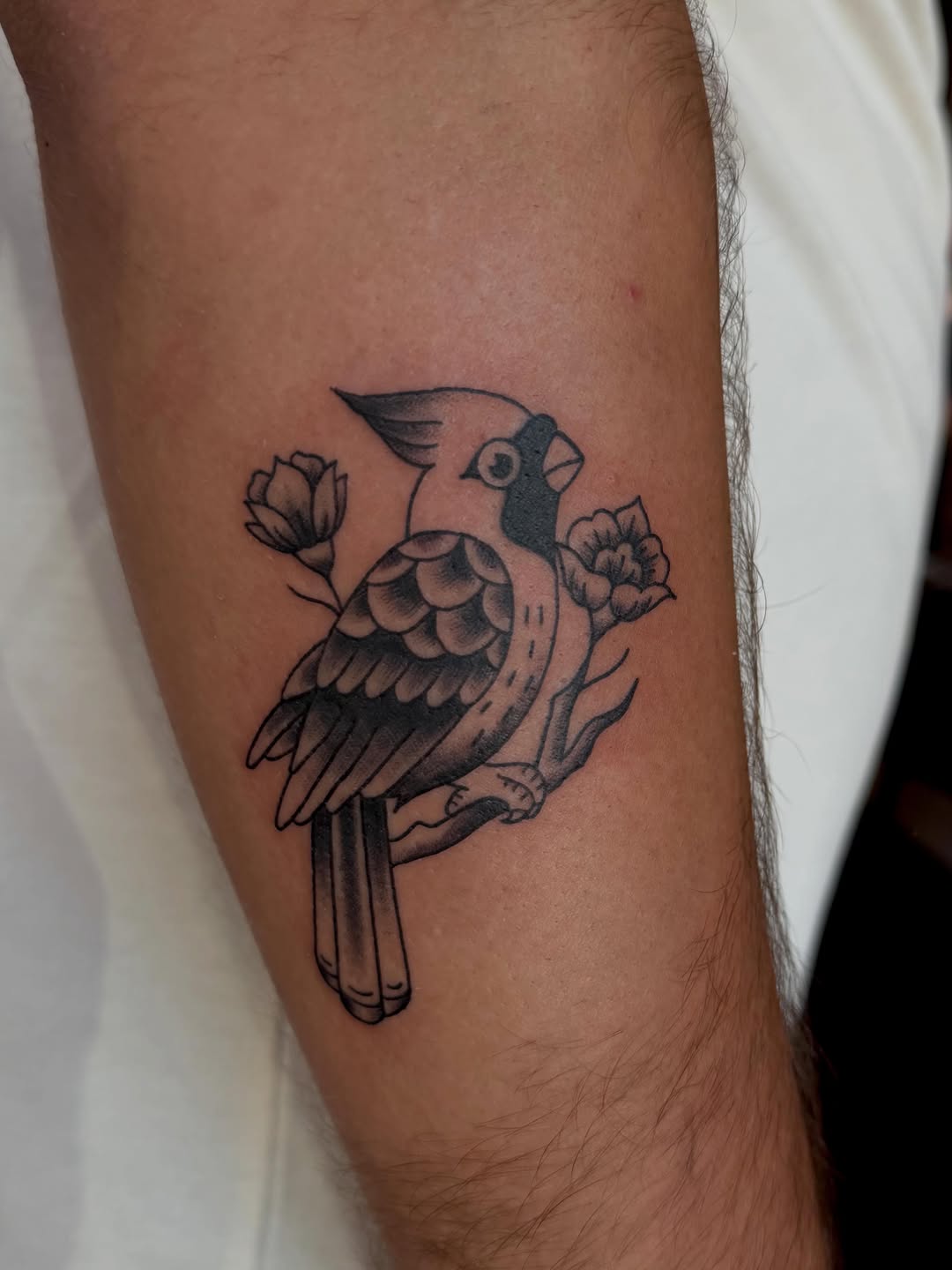 Cardinal bird with flowers fine line tattoo on the forearm by Alaska ⚜️