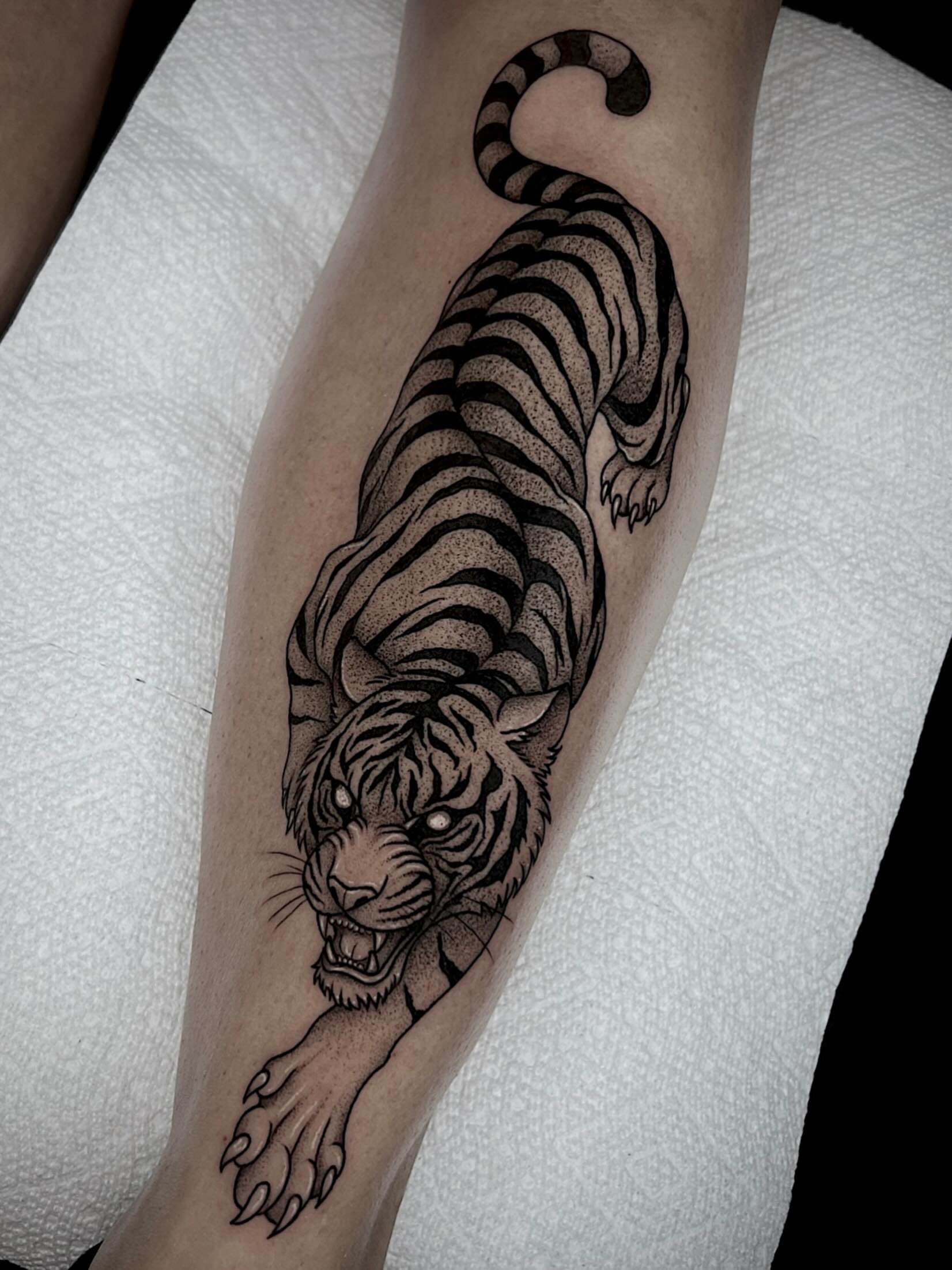 Tiger black and grey tattoo on the forearm by 𝔅𝔯𝔦 𝔉𝔩𝔢𝔱𝔠𝔥𝔢𝔯
