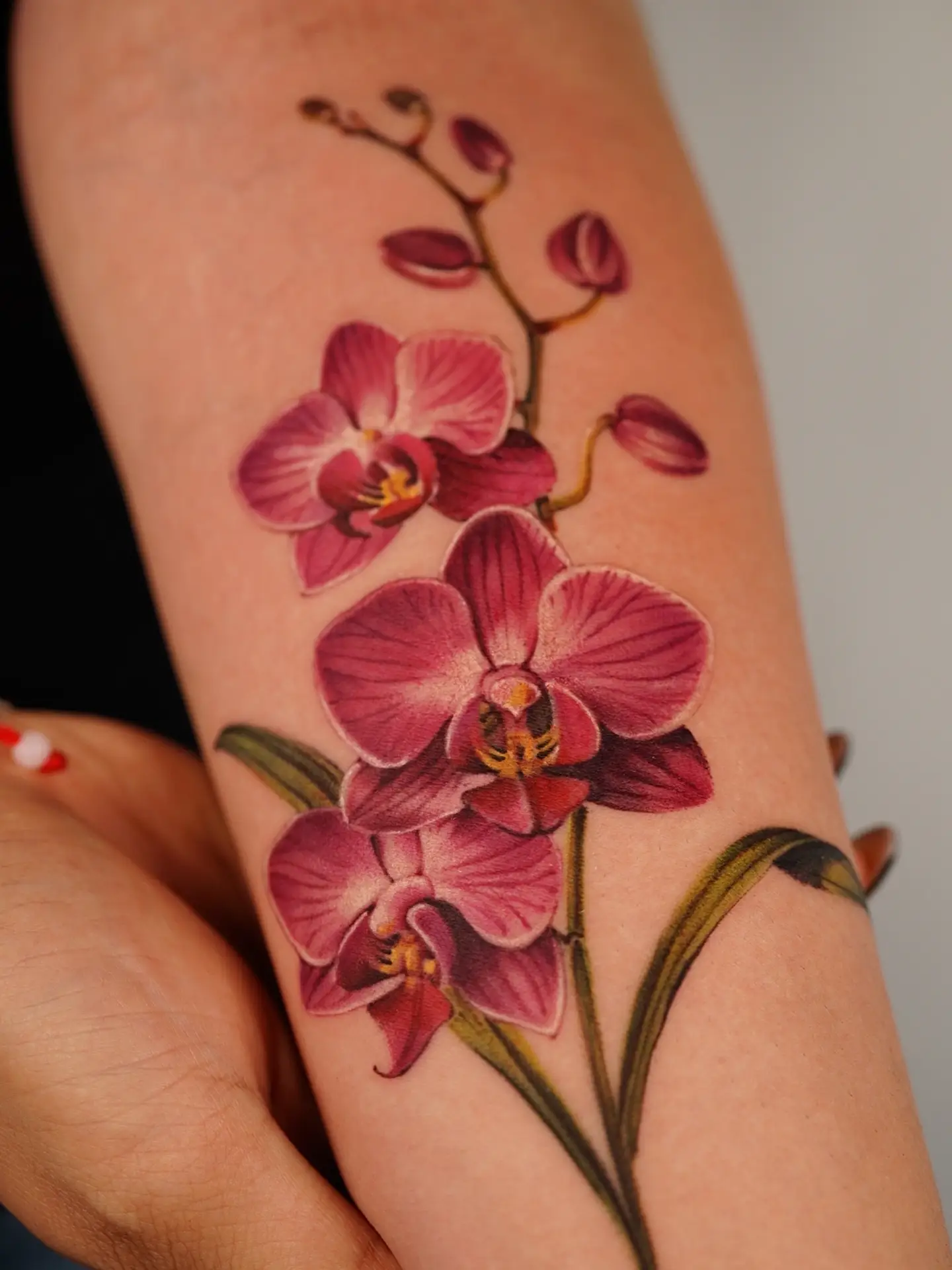 Tattoo by @vii_tattoo — realism