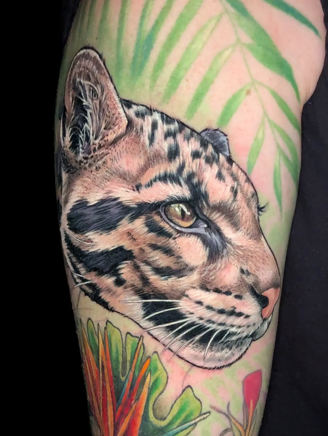 Clouded leopard head with tropical flowers realism tattoo on the forearm by Devon Greig