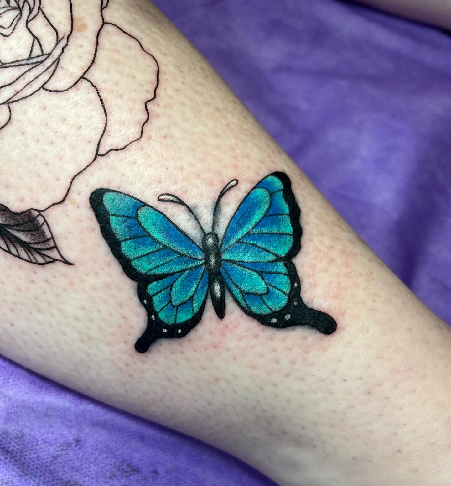 Blue butterfly dotwork tattoo on the forearm by Ash Wheeler