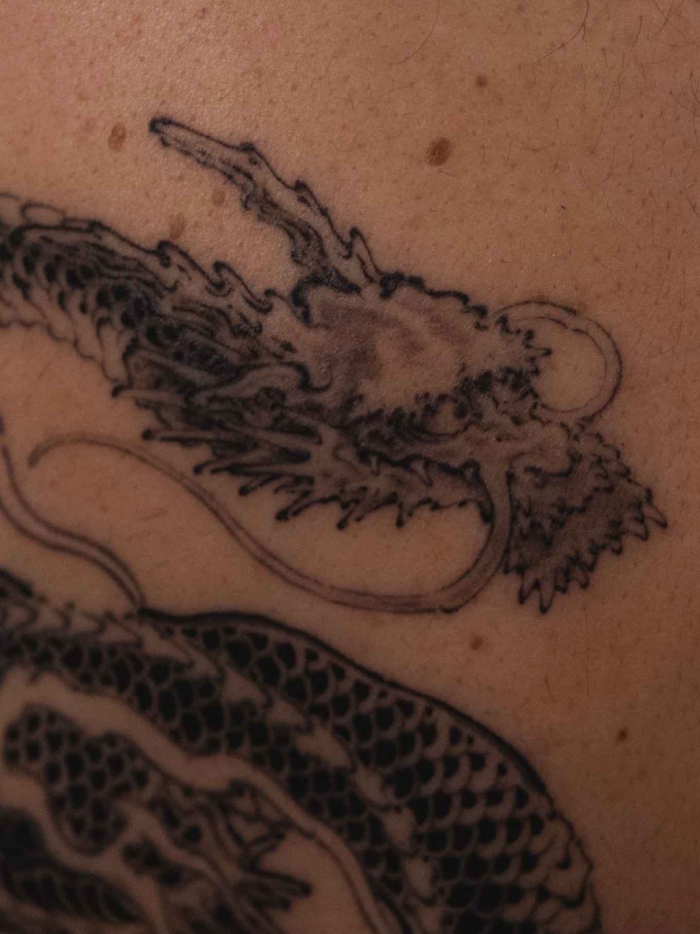 Tattoo by @ray_thefox — black_and_grey