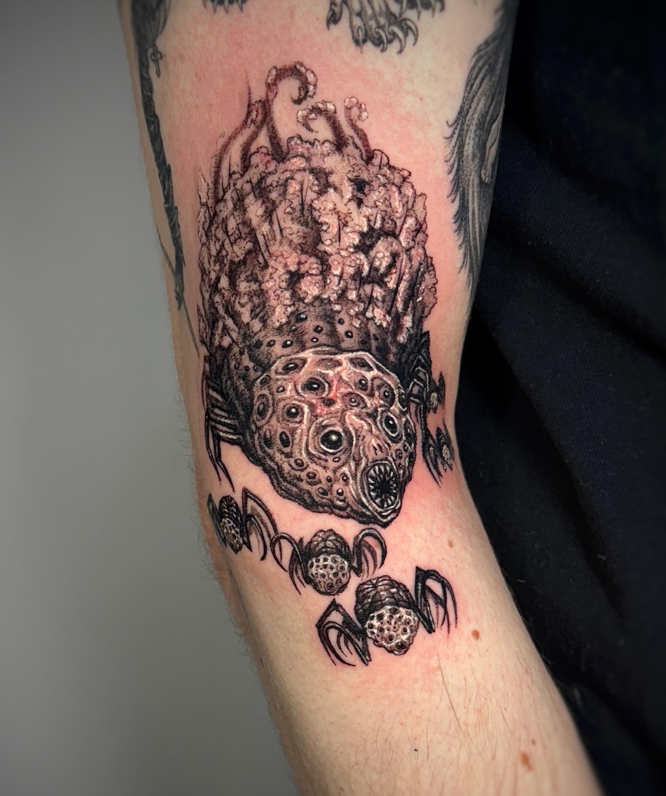Octopus dotwork tattoo on the forearm by Jemin Ren