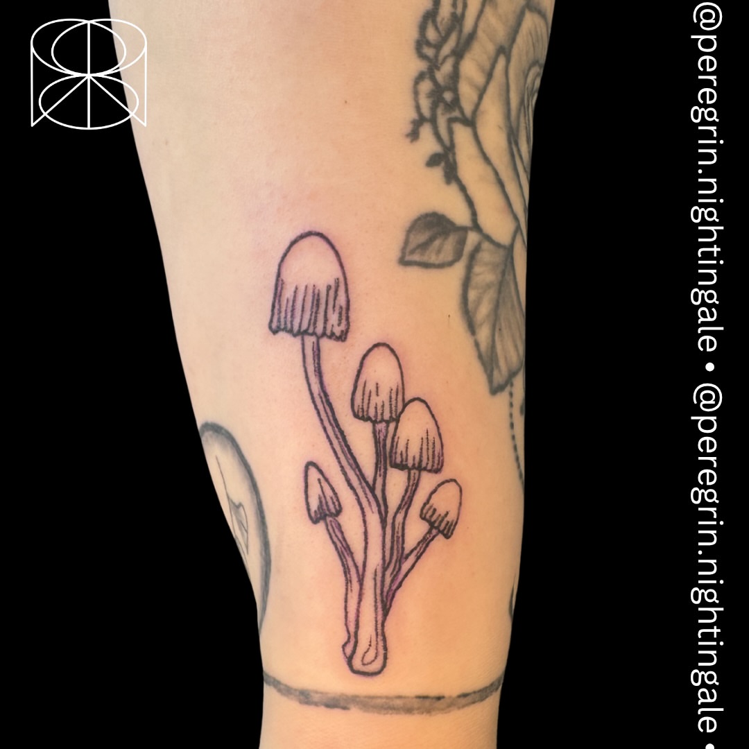 Tattoo by @peregrin.nightingale — fine_line