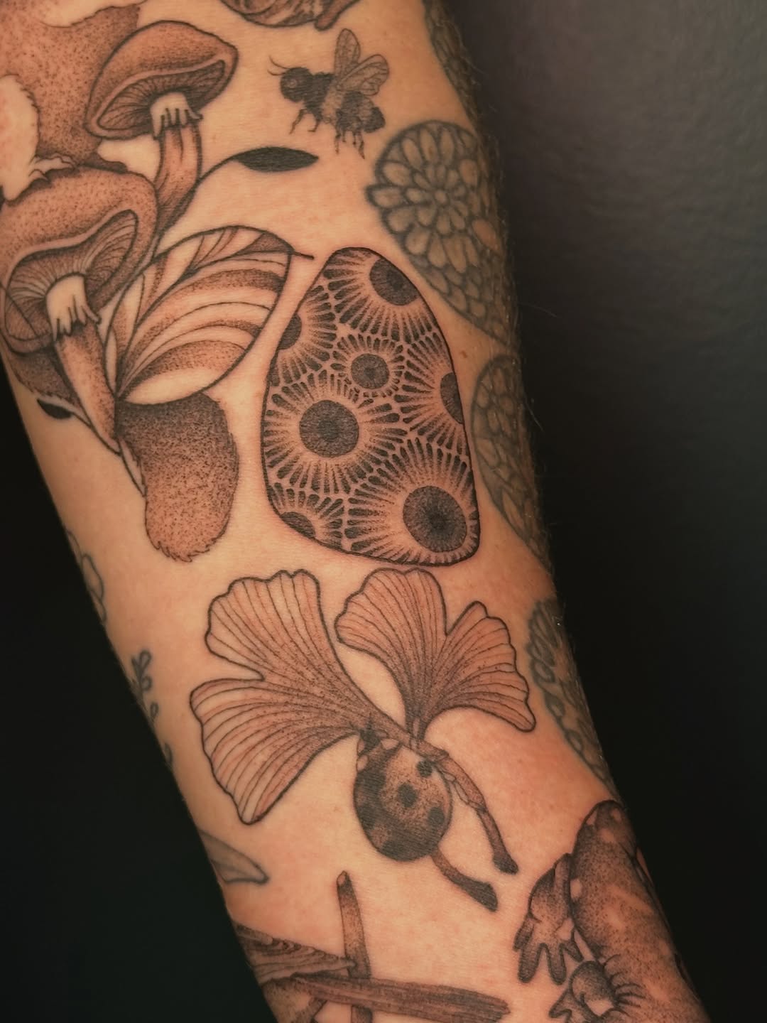 Tattoo by @inkygremlin — dotwork, black_and_grey