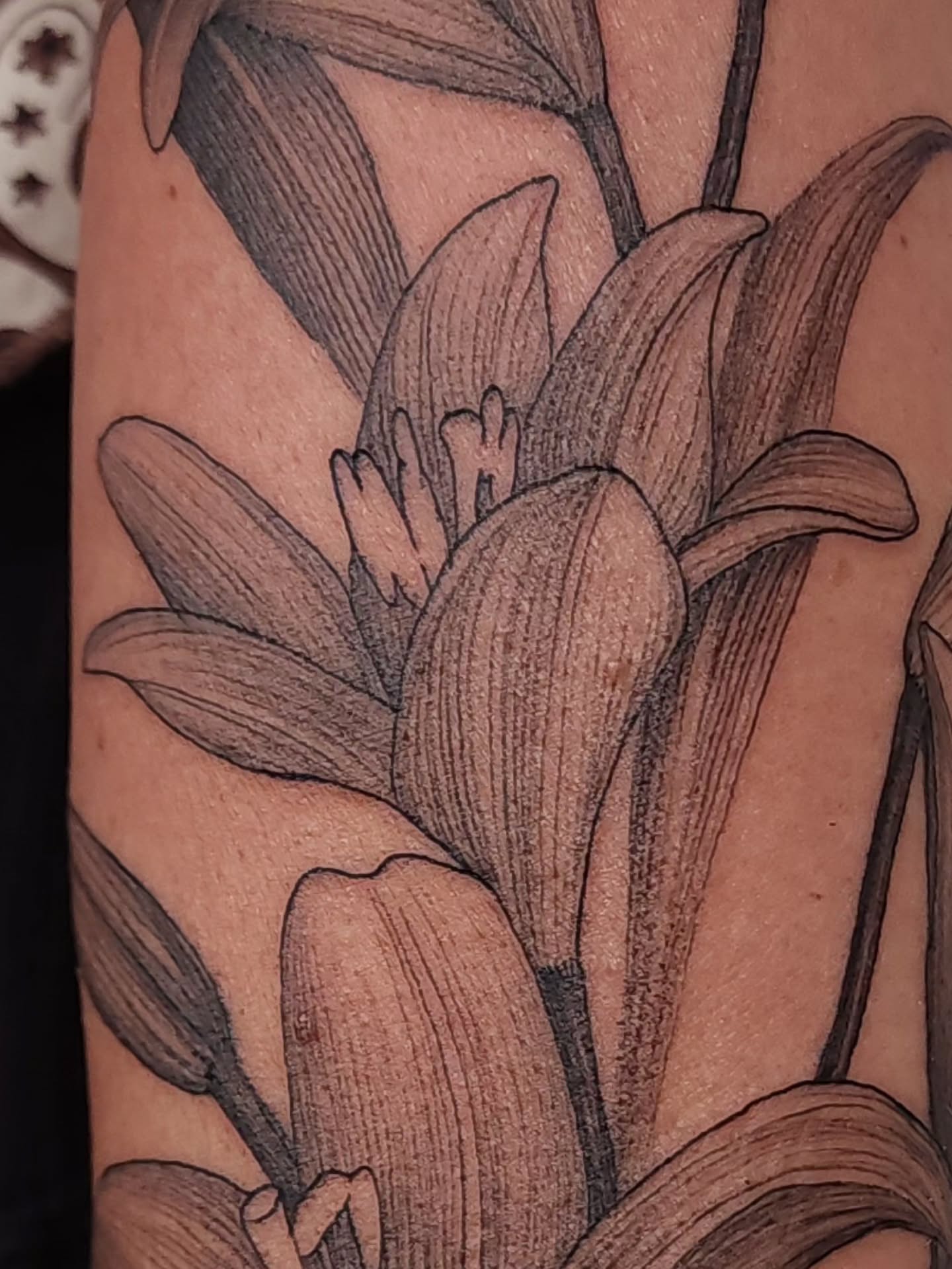 Lily black and grey tattoo on the forearm by ๐ฏ๐๐๐๐ ๐ท๐๐๐๐
