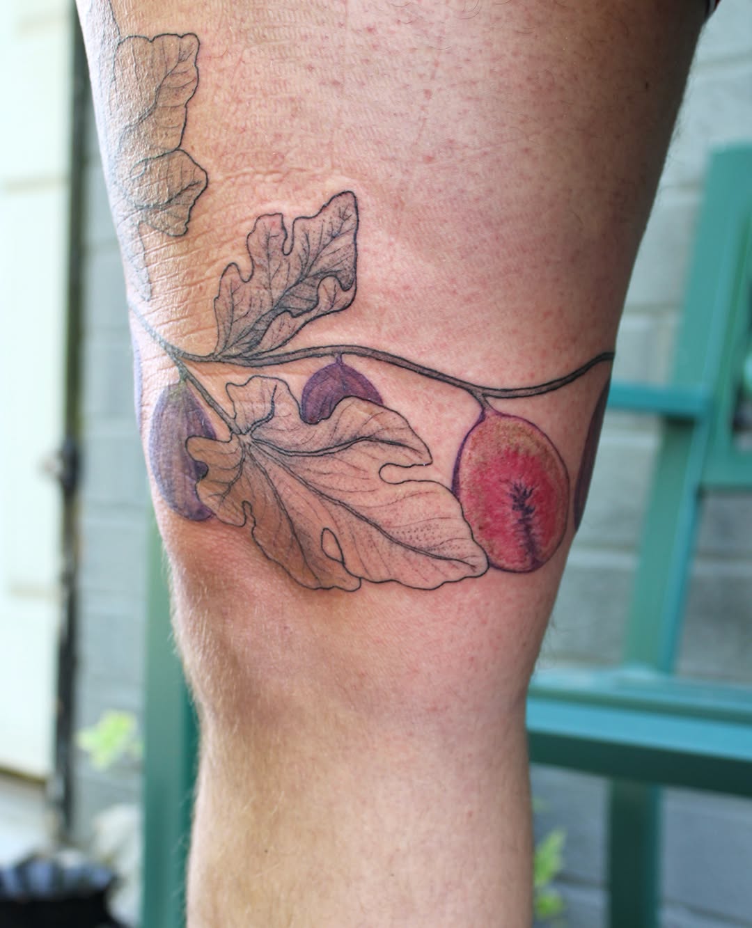 Figs and leaves realism tattoo on the forearm by Zo ☆ Moon Snail