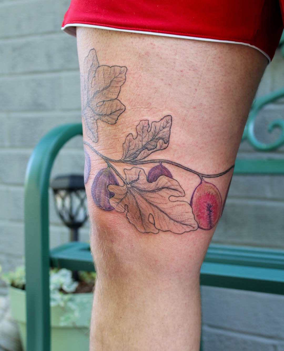 Plum and leaves realism tattoo on the thigh by Zo ☆ Moon Snail