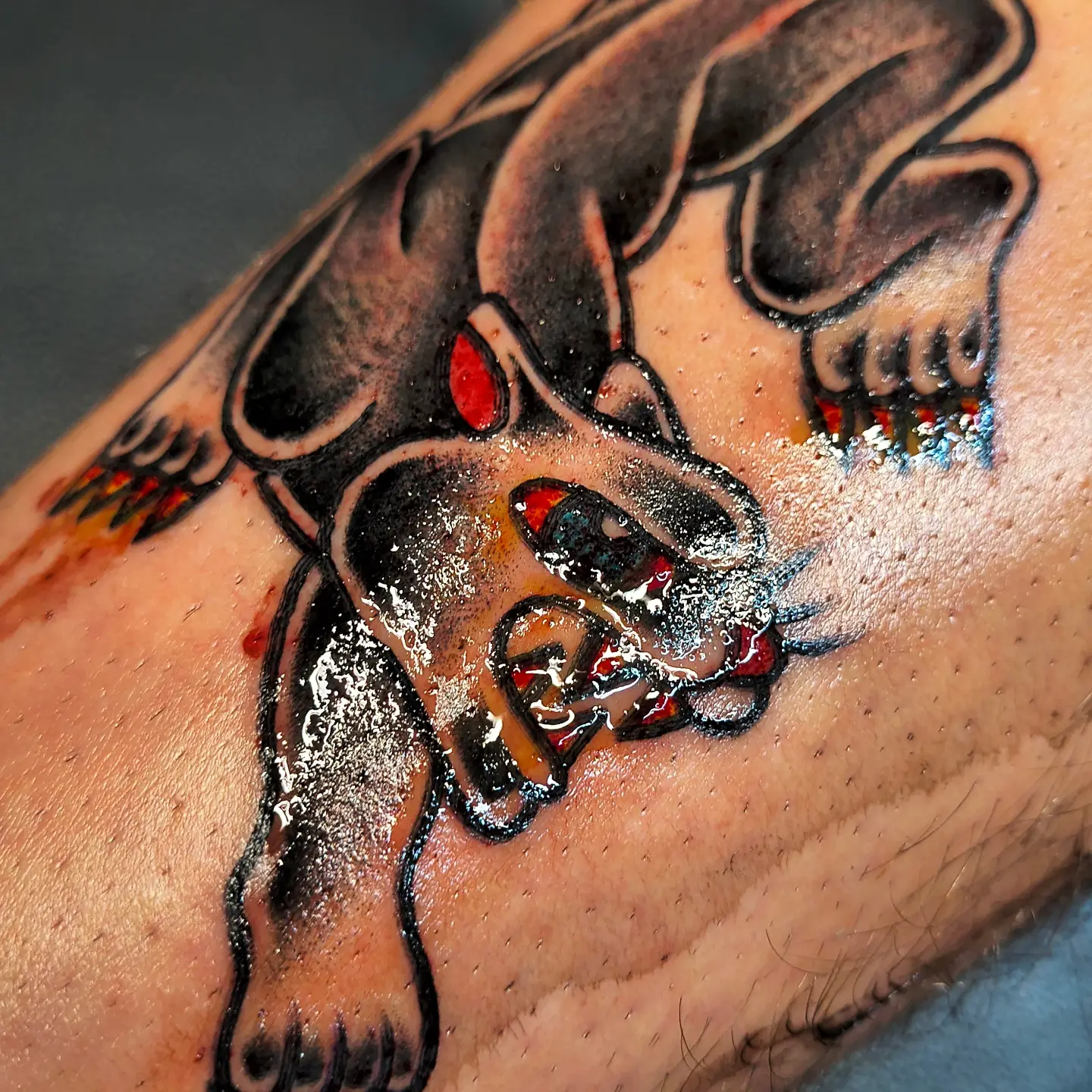 Tattoo by @pain_inks — american_traditional