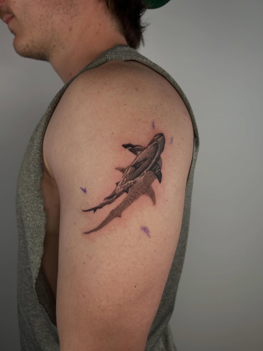 Shark fine line tattoo on the shoulder by J
