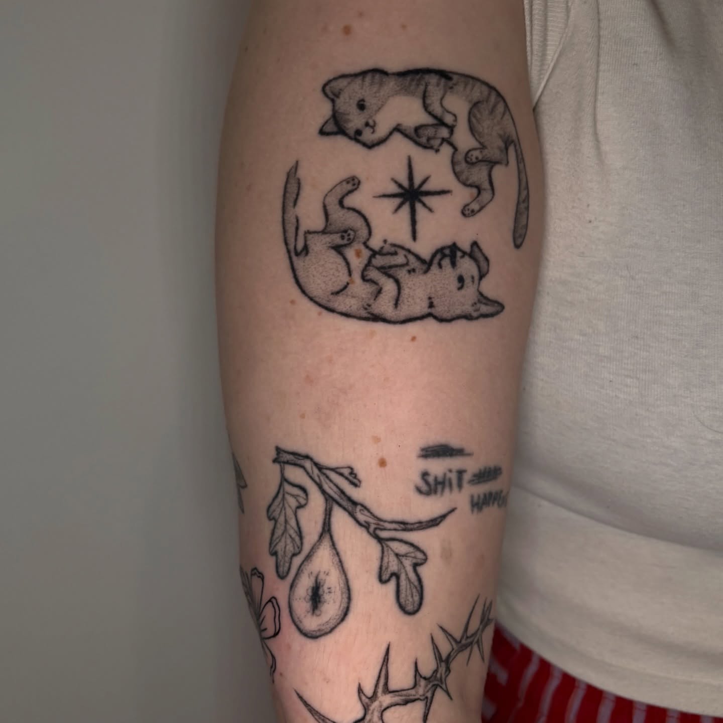 Cats and star dotwork tattoo on the forearm by Chloe Shay