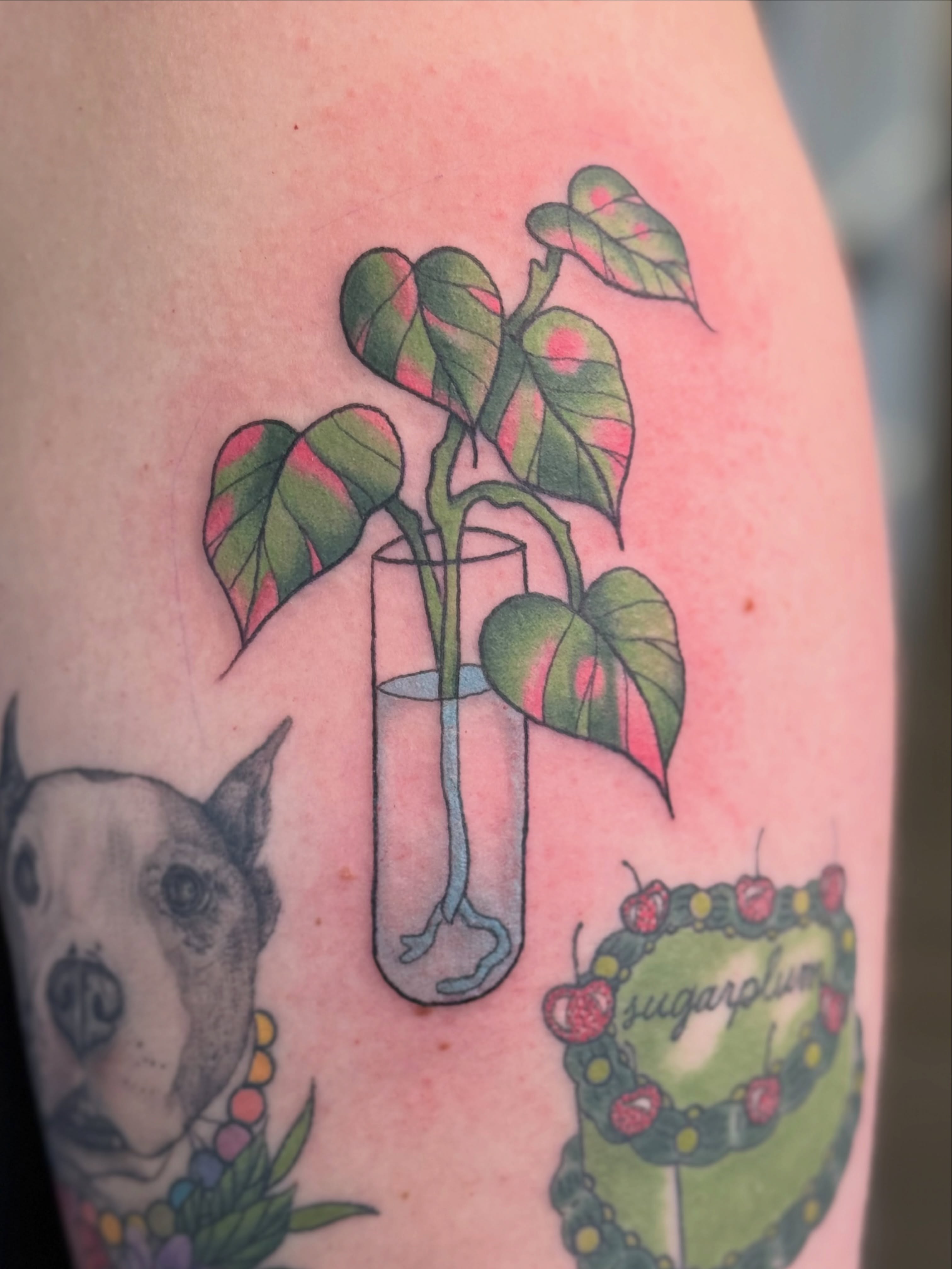 Tattoo by @alexxtattoos — new_school