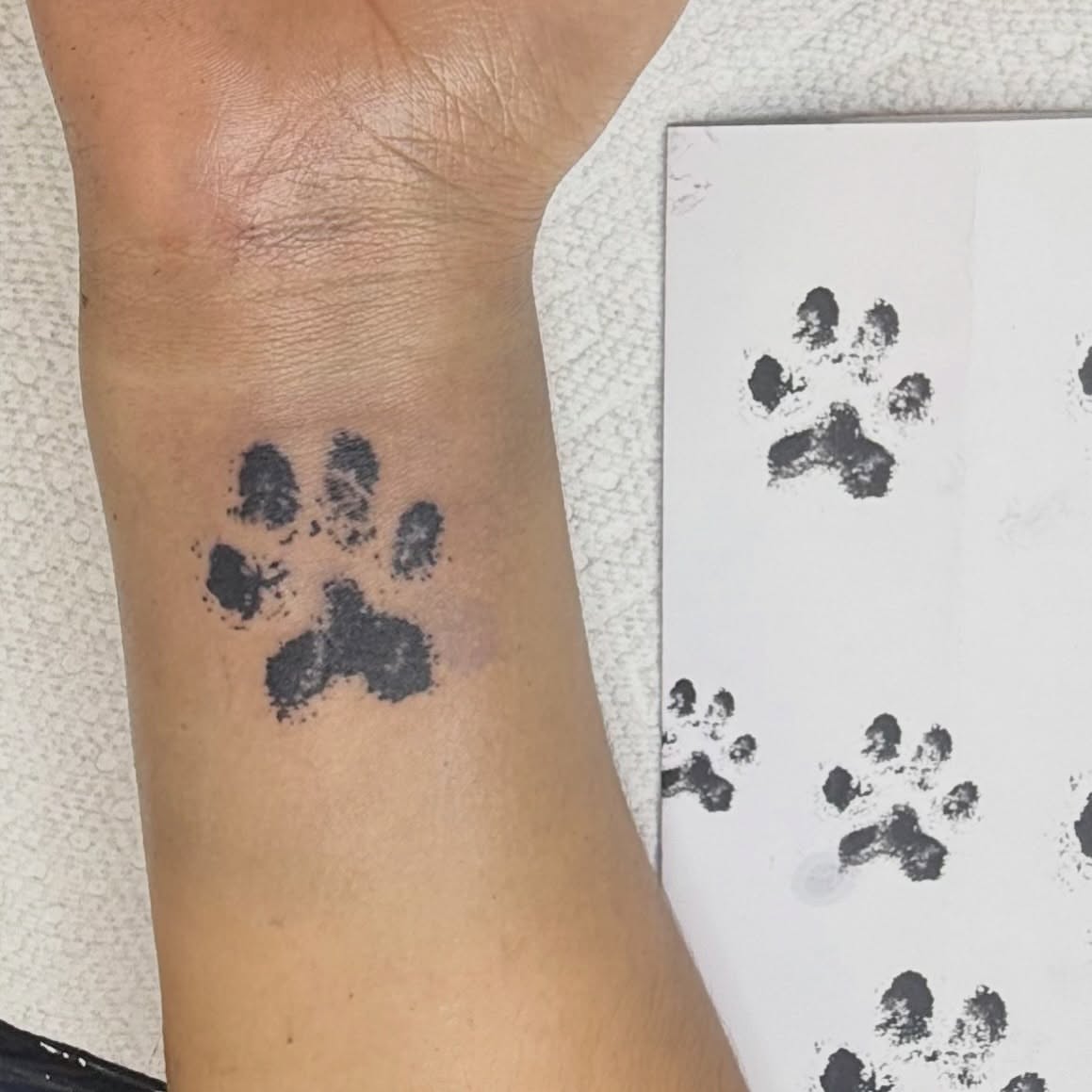 Paw print dotwork tattoo on the forearm by Chuckthegirl