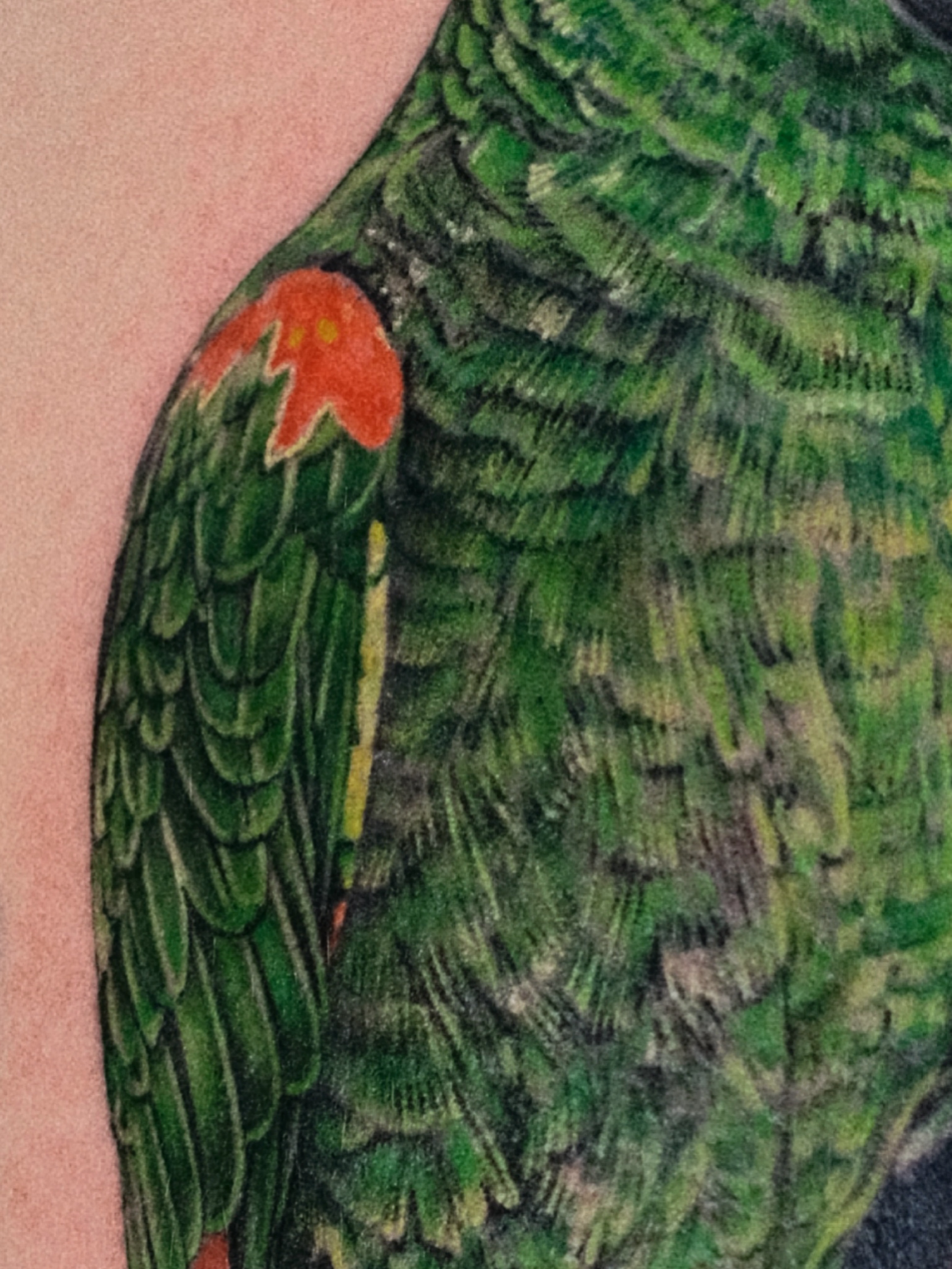 Parrot realism tattoo on the upper arm by Jiemin Lin