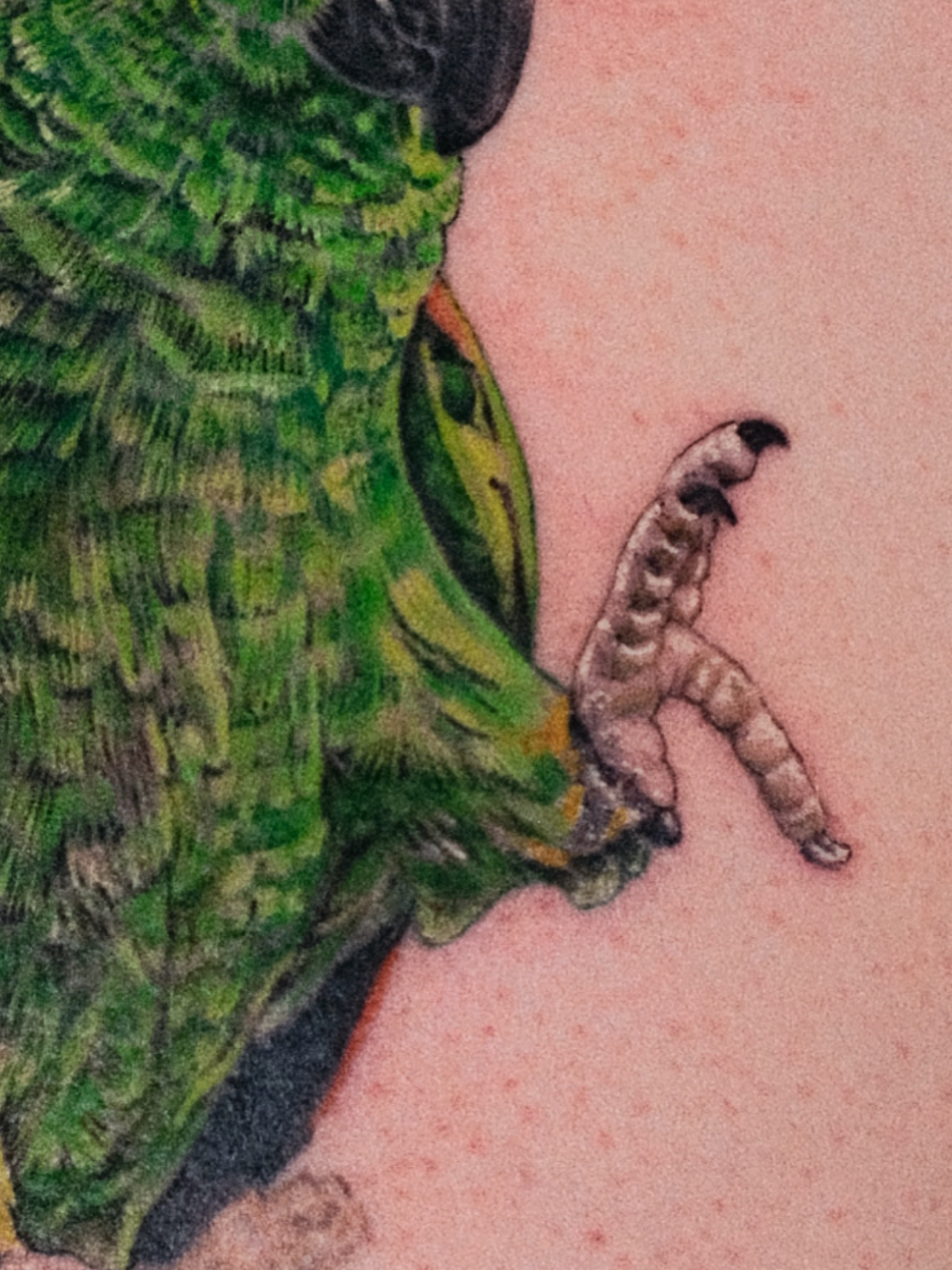 Parrot realism tattoo on the back by Jiemin Lin