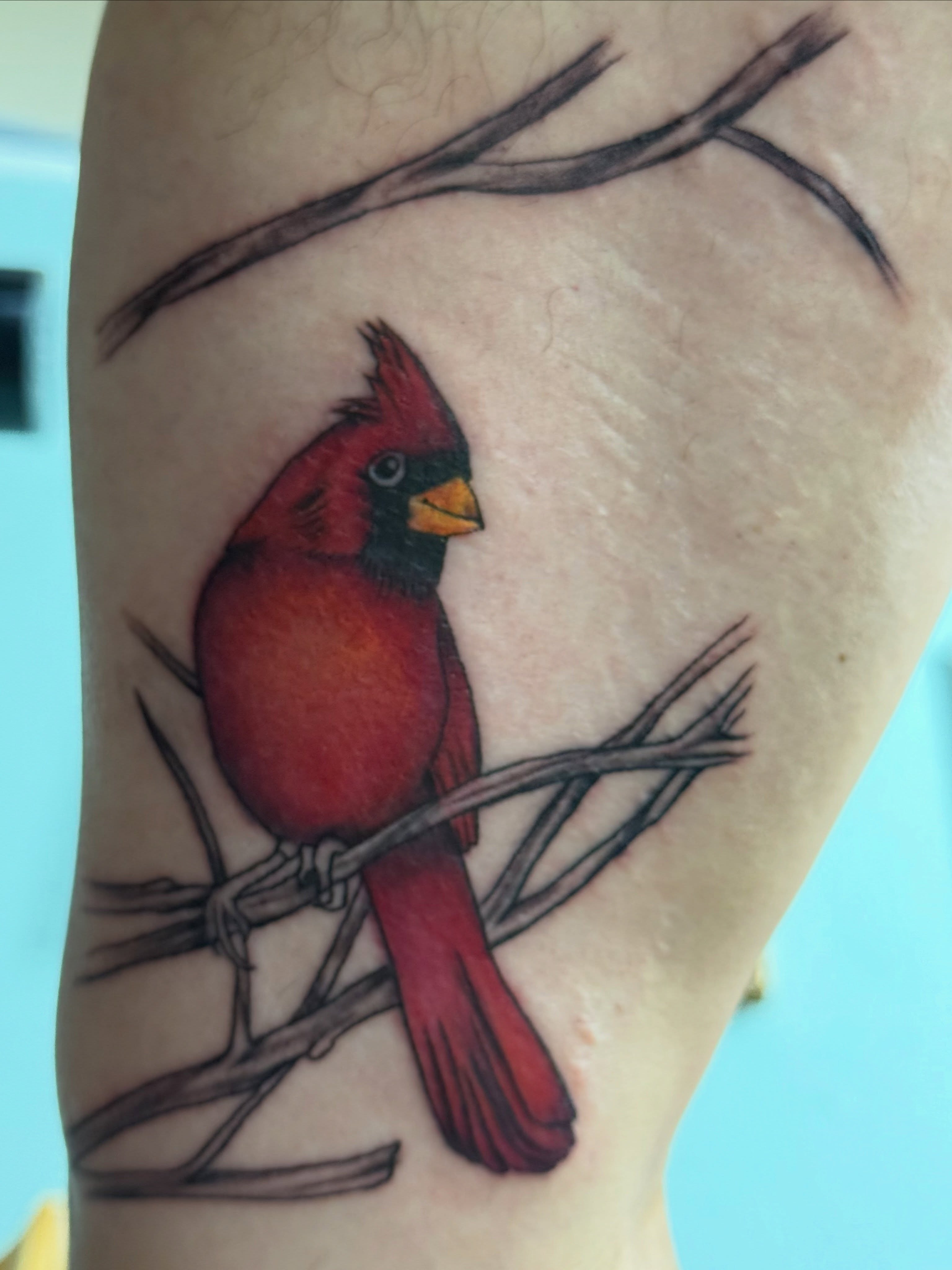 Cardinal bird realism tattoo on the forearm by Michelle Balhan