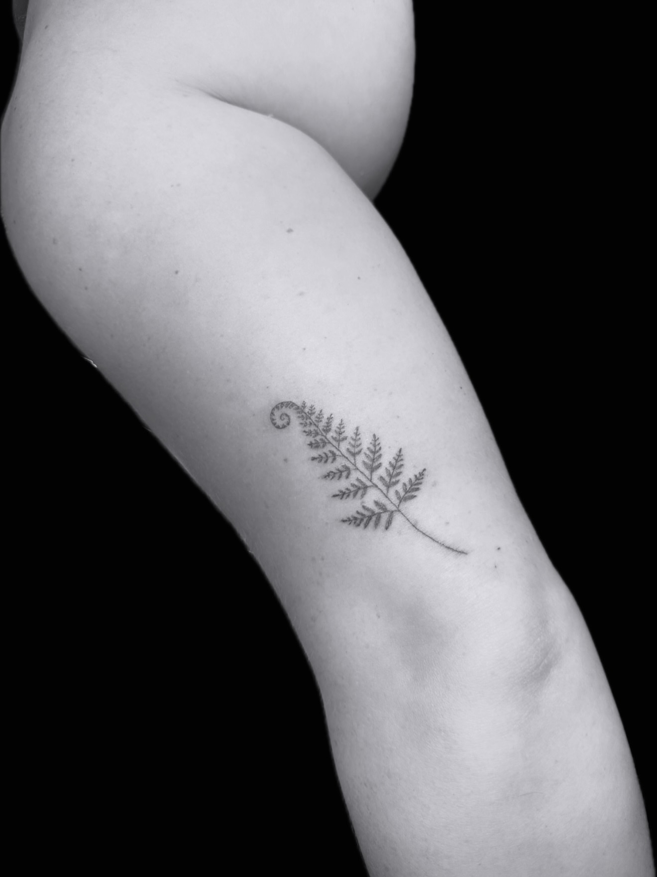 Tattoo by @tiff_for_tatts — fine_line