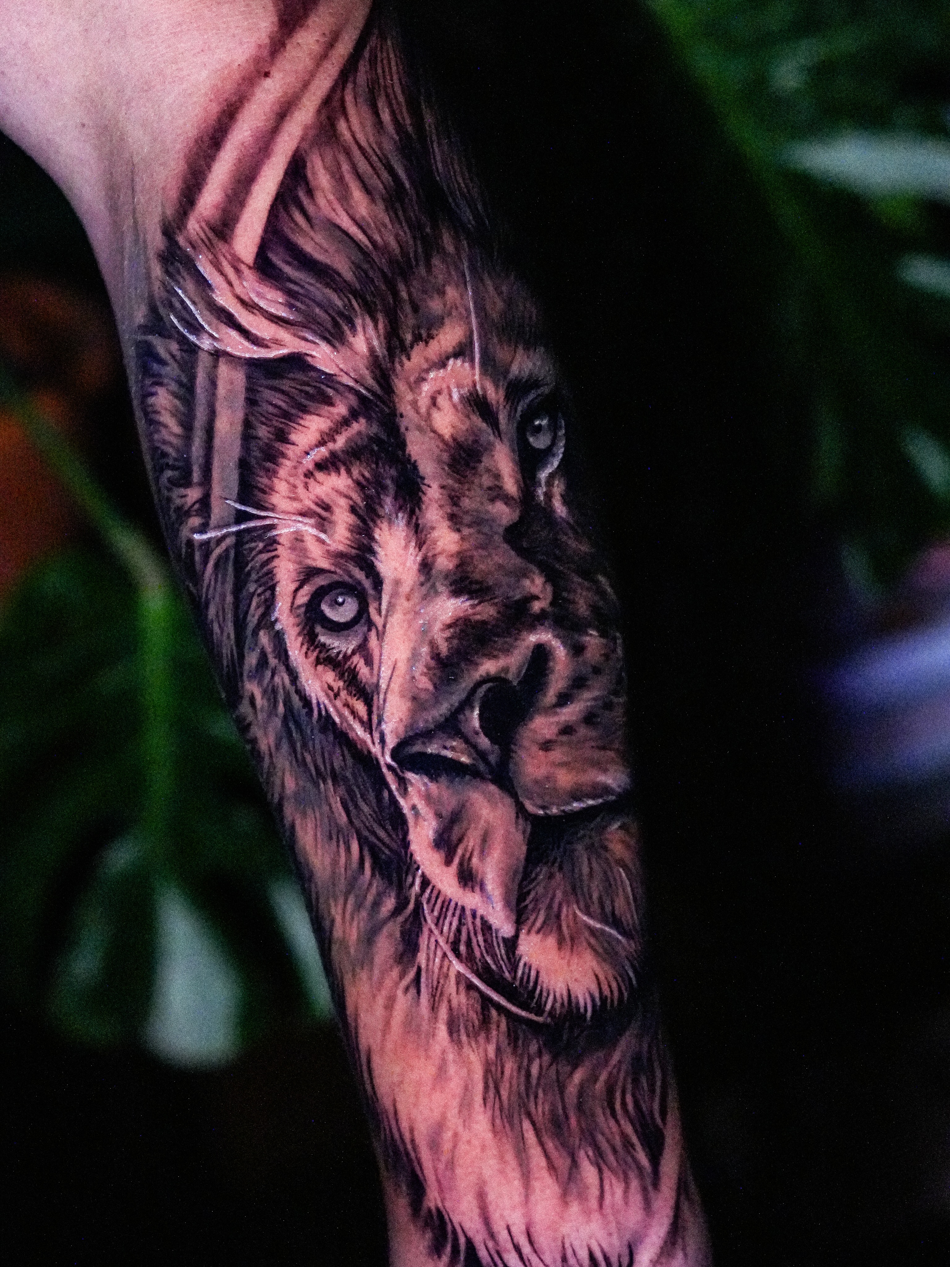 Lion realism tattoo on the forearm by Simon Pouliot