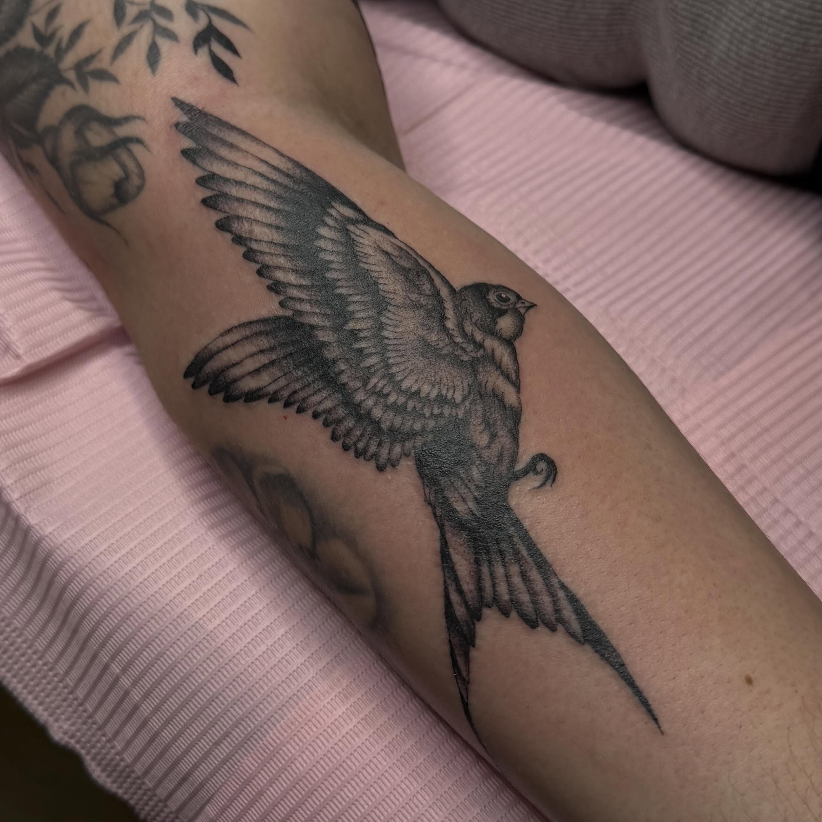 Swallow black and grey tattoo on the forearm by 🩸 𝓢𝔂𝓵𝓿𝓲𝓮 🩸 ▪︎ 𝕯𝖊𝖓𝖛𝖊𝖗 𝕿𝖆𝖙𝖙𝖔𝖔𝖊𝖗 ▪︎