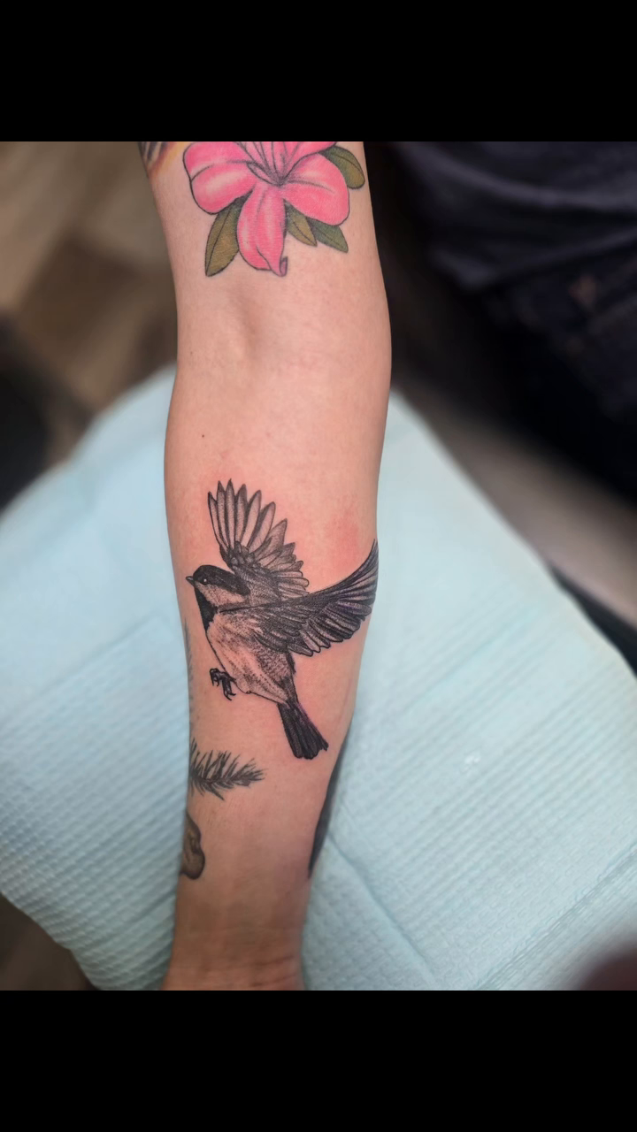Bird and flower tattoo fine line tattoo on the forearm by Karen Cain