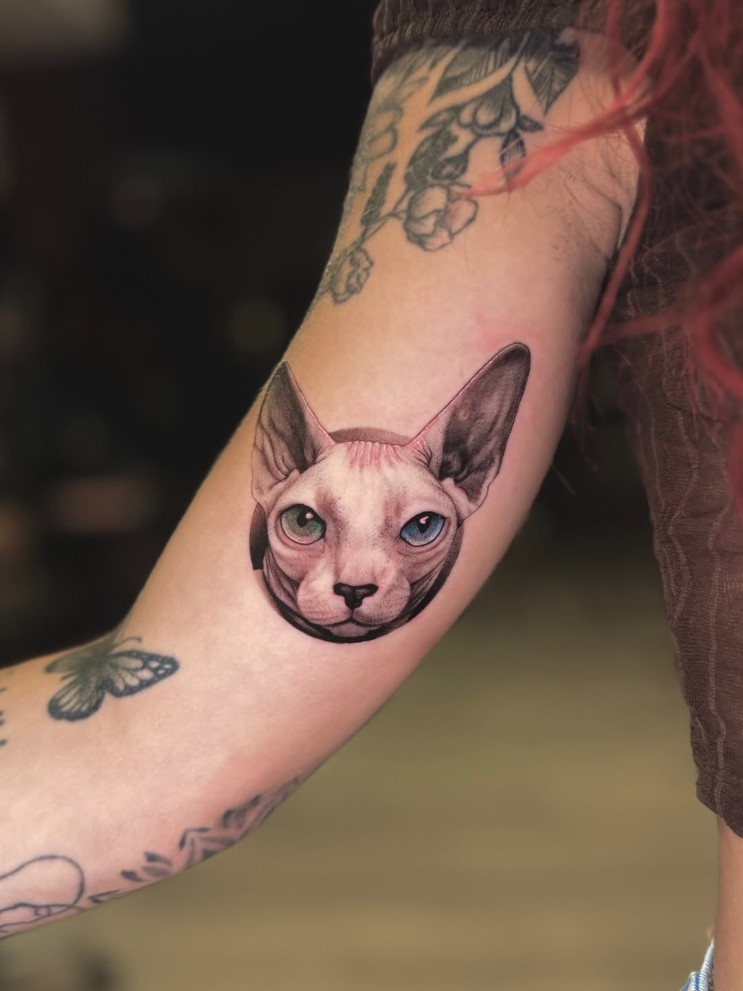 Sphynx cat portrait realism tattoo on the forearm by ๐
๐๐๐๐ณ๐ฎ๐ฆ๐ข ๐๐๐ญ๐ญ๐จ๐จs