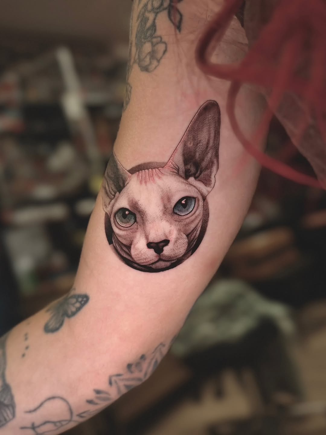 Sphynx cat portrait realism tattoo on the forearm by ๐
๐๐๐๐ณ๐ฎ๐ฆ๐ข ๐๐๐ญ๐ญ๐จ๐จs