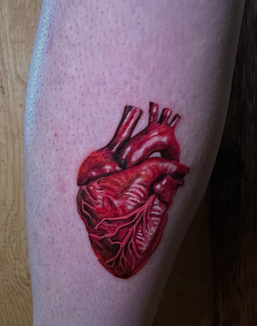 Anatomical heart sketch tattoo on the forearm by Alexander Haber