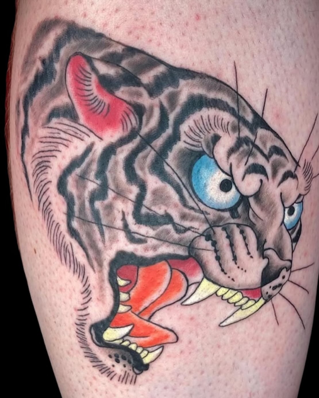 Tiger American traditional tattoo on the thigh by Cody Glenn