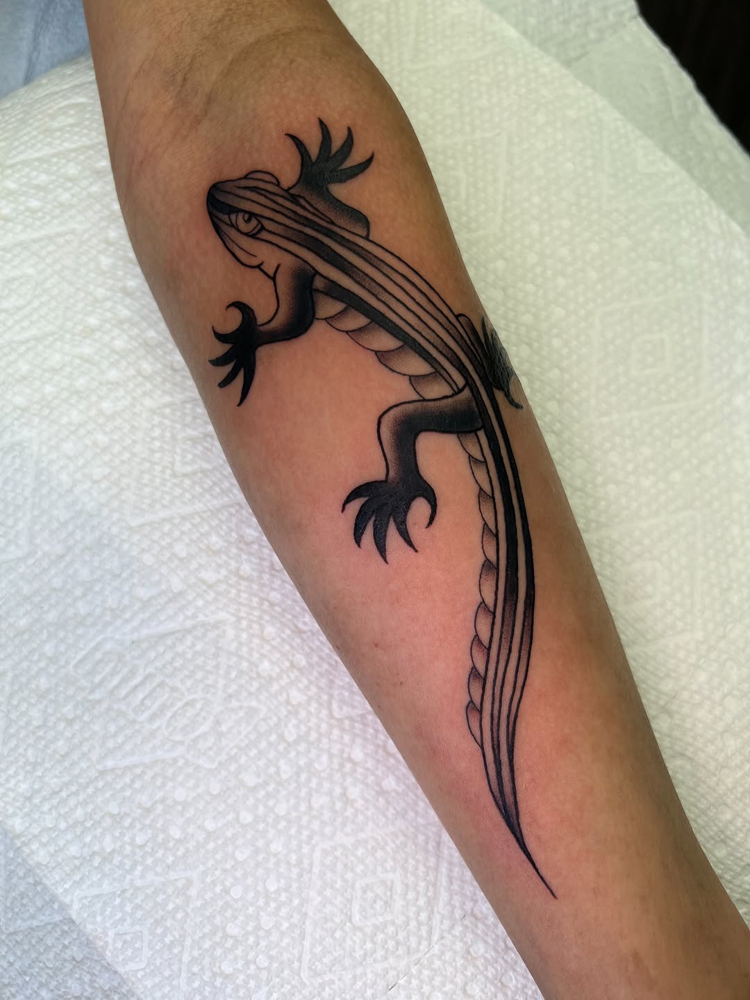 Tattoo by @blair_witch_ink — black_and_grey, fine_line