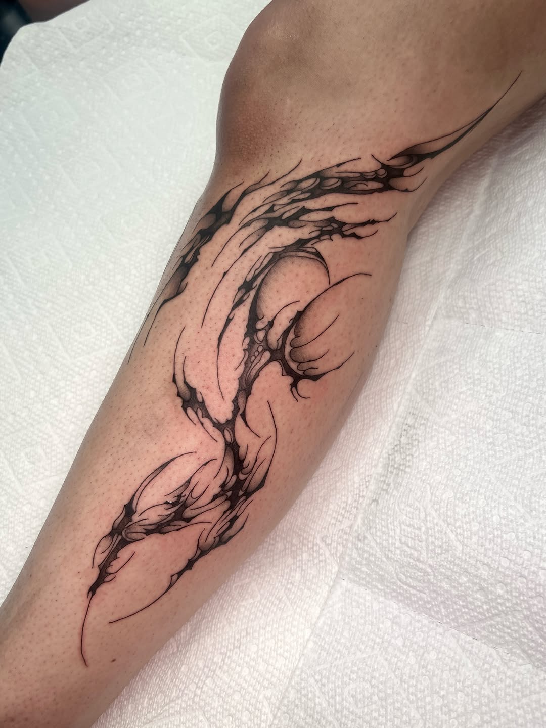 Tattoo by @blair_witch_ink — blackwork, ornamental