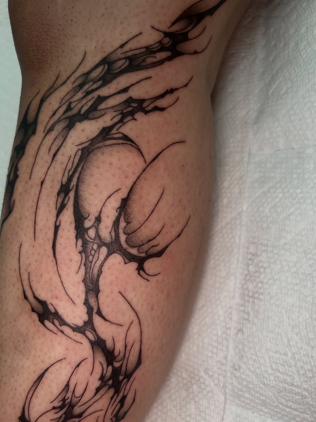Tattoo by @blair_witch_ink — blackwork, ornamental