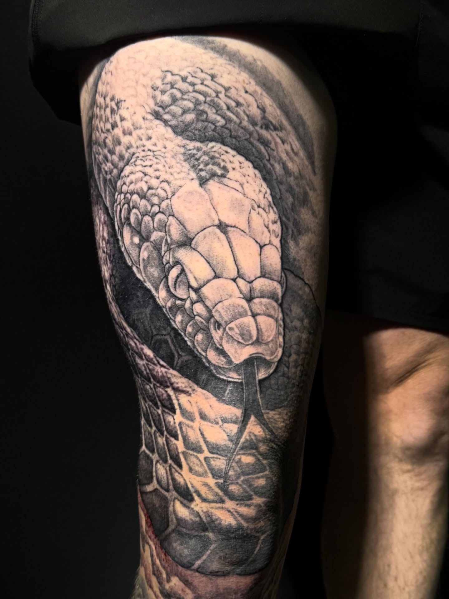 Snake realism tattoo on the thigh by Noah A Rasmus